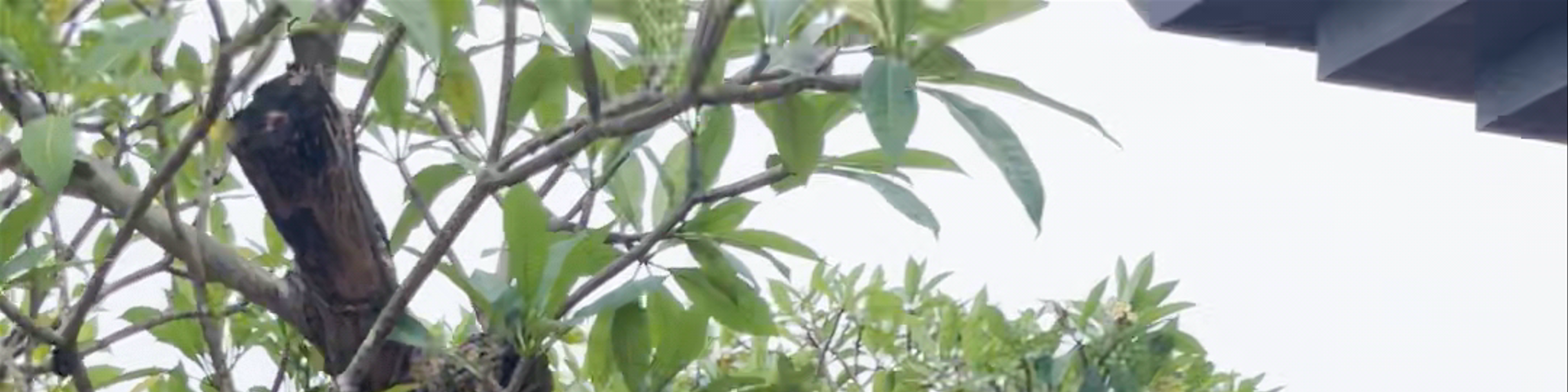 Phủ Lý