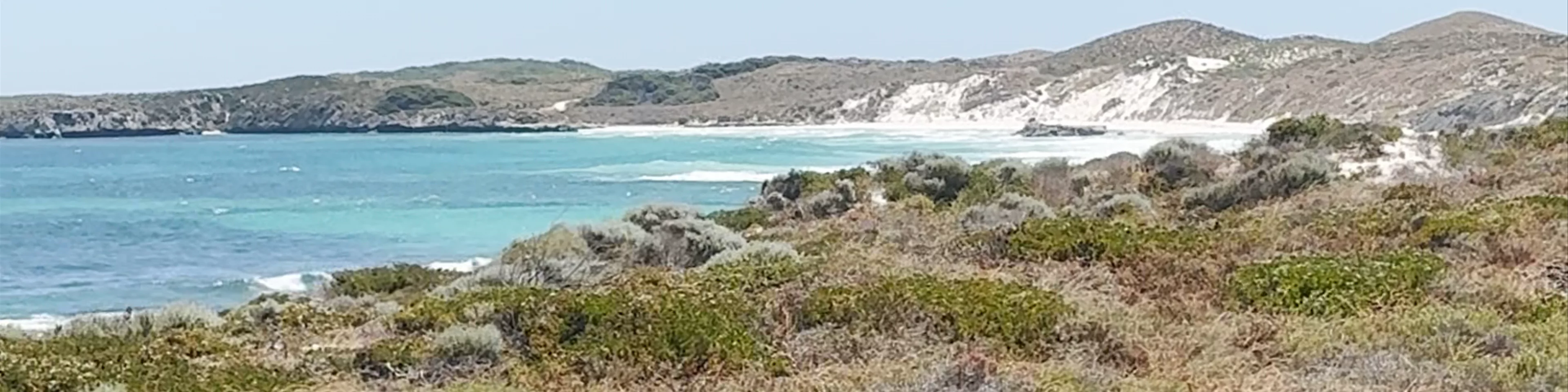 Salmon Bay