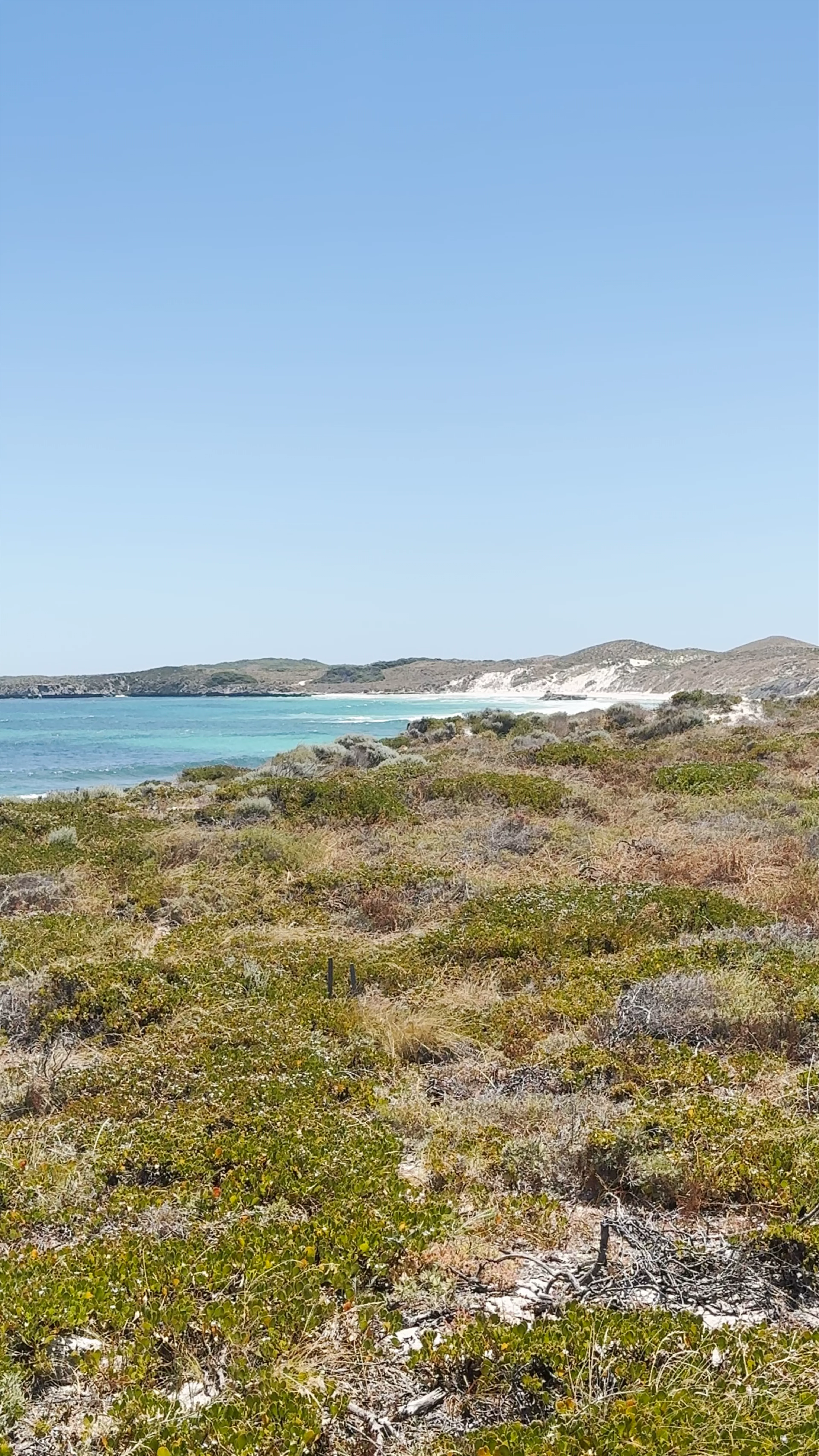 Little Salmon Bay