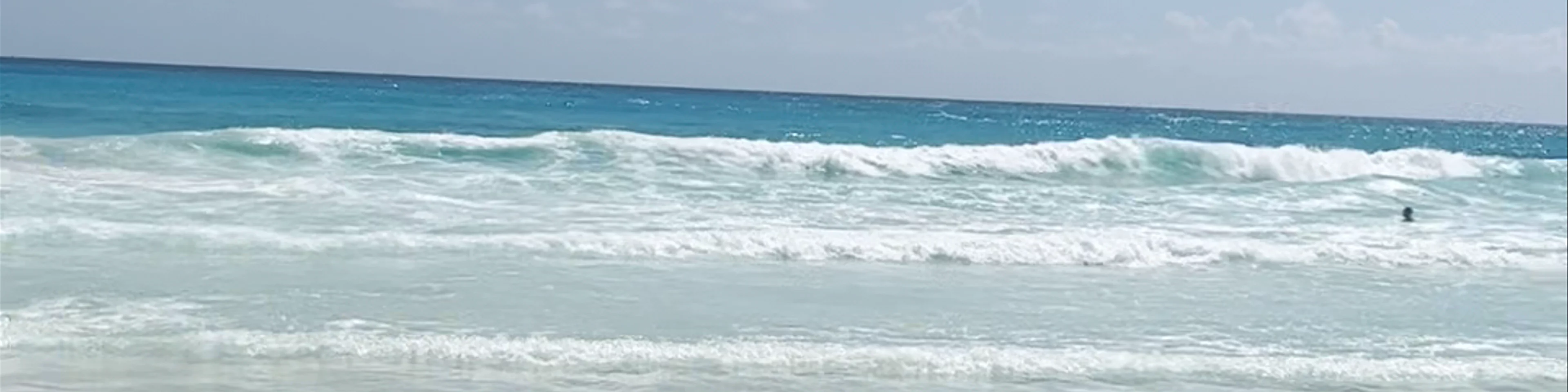 Playa Forum