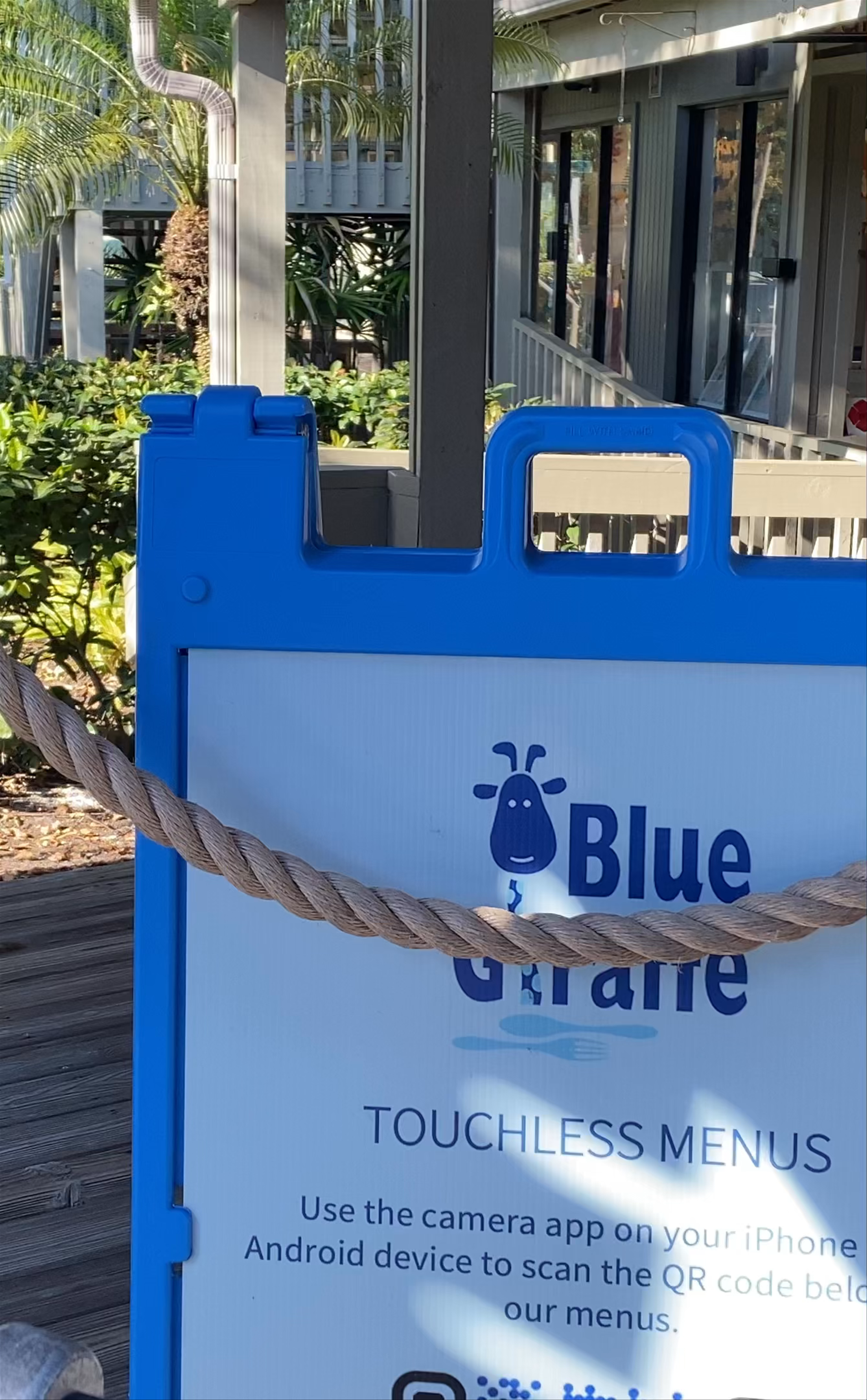 Blue Giraffe Restaurant: Casual Coastal Dining in Sanibel, Florida