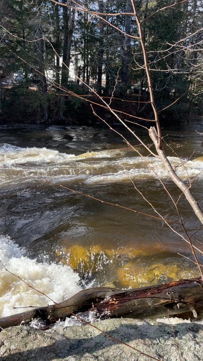 Wildcat Falls Conservation Area - Hiking Near Me - Merrimack, New Hampshire