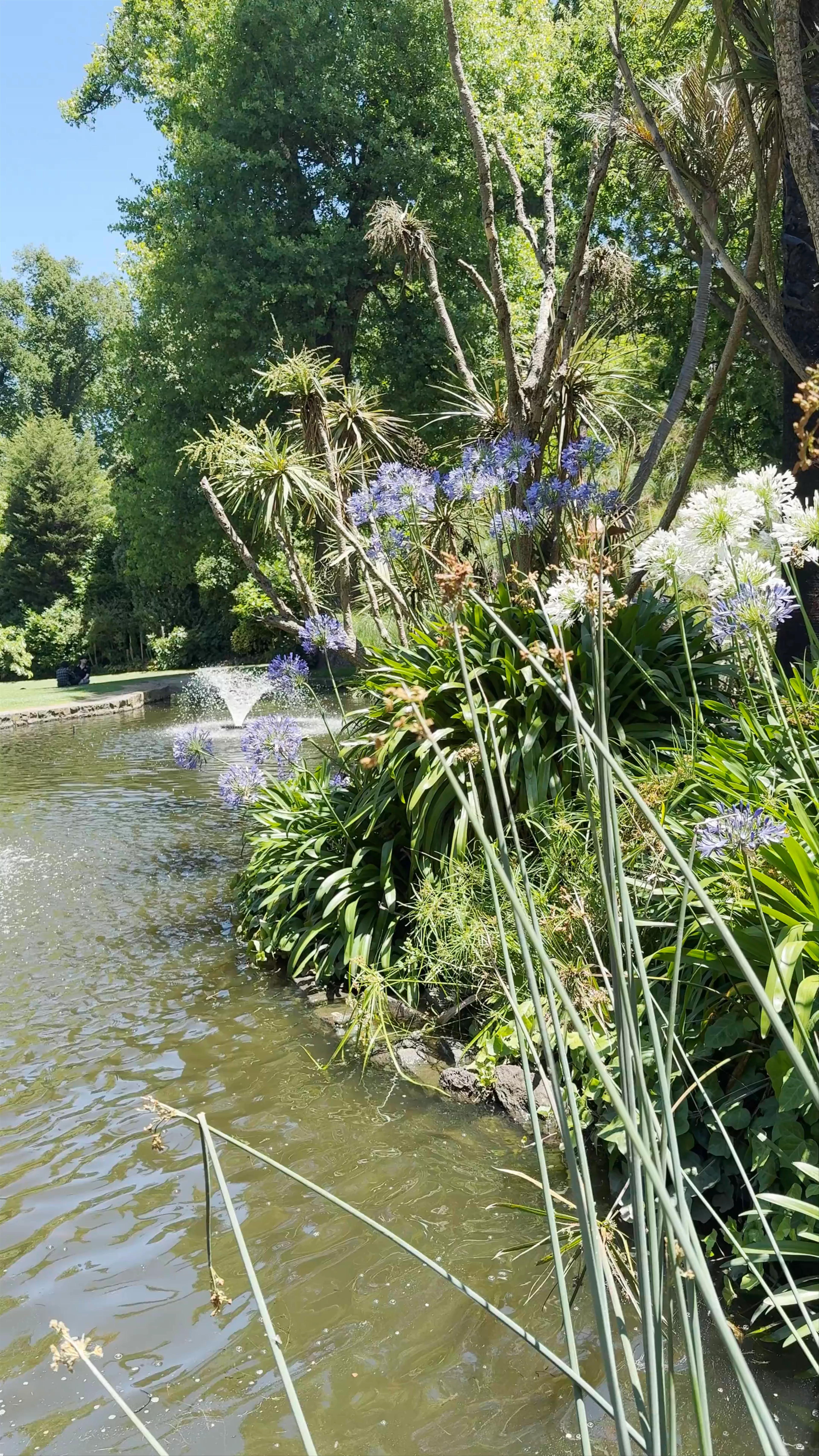 Fitzroy Gardens, East Melbourne