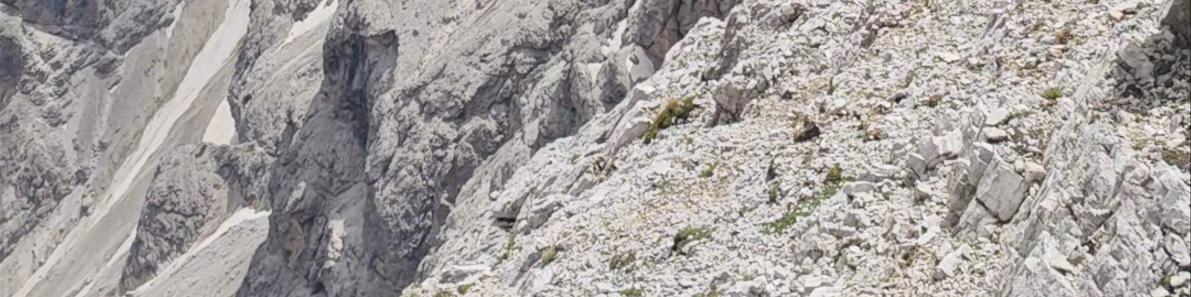 Picco di Vallandro