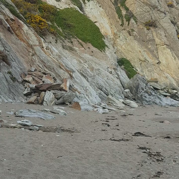 Jameson / Drumleck Beach - Beaches Near Me - Dublin, D
