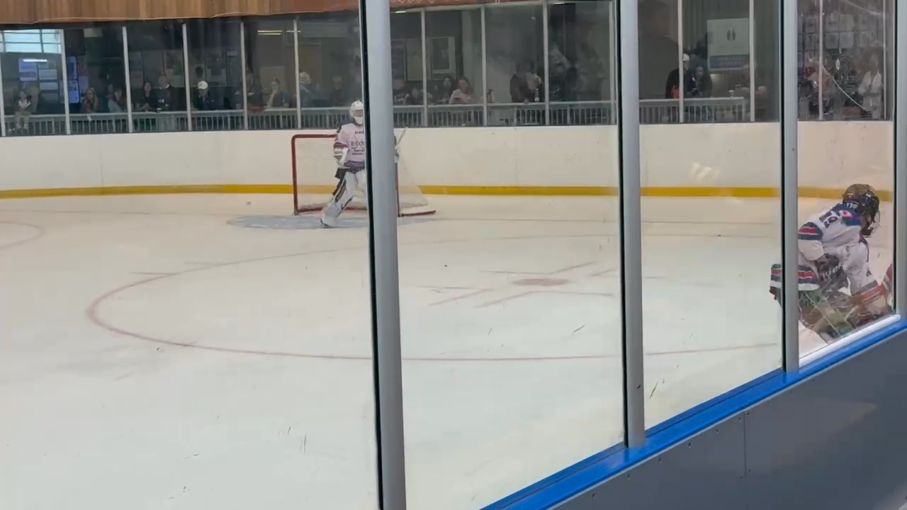Benson Renaud's Stellar Showcase: 91.7% Save Rate Highlights