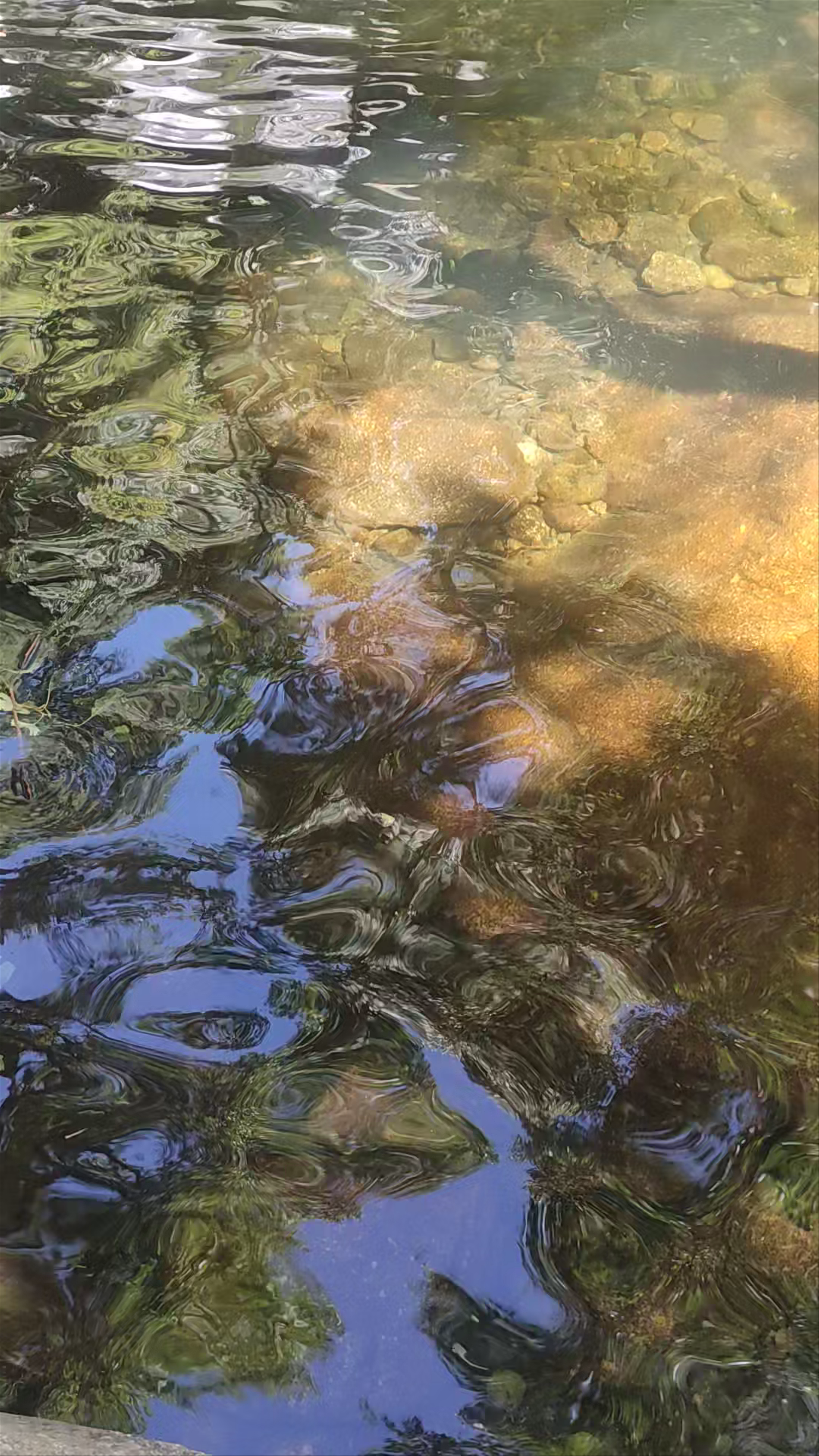 Cascada Las Nogaledas