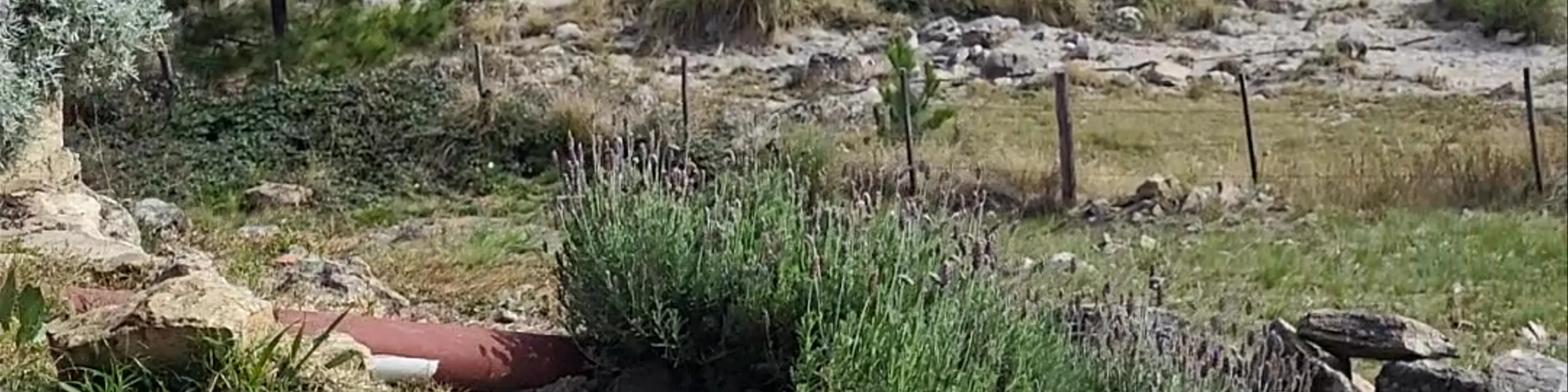 Pircamora Casa Serrana