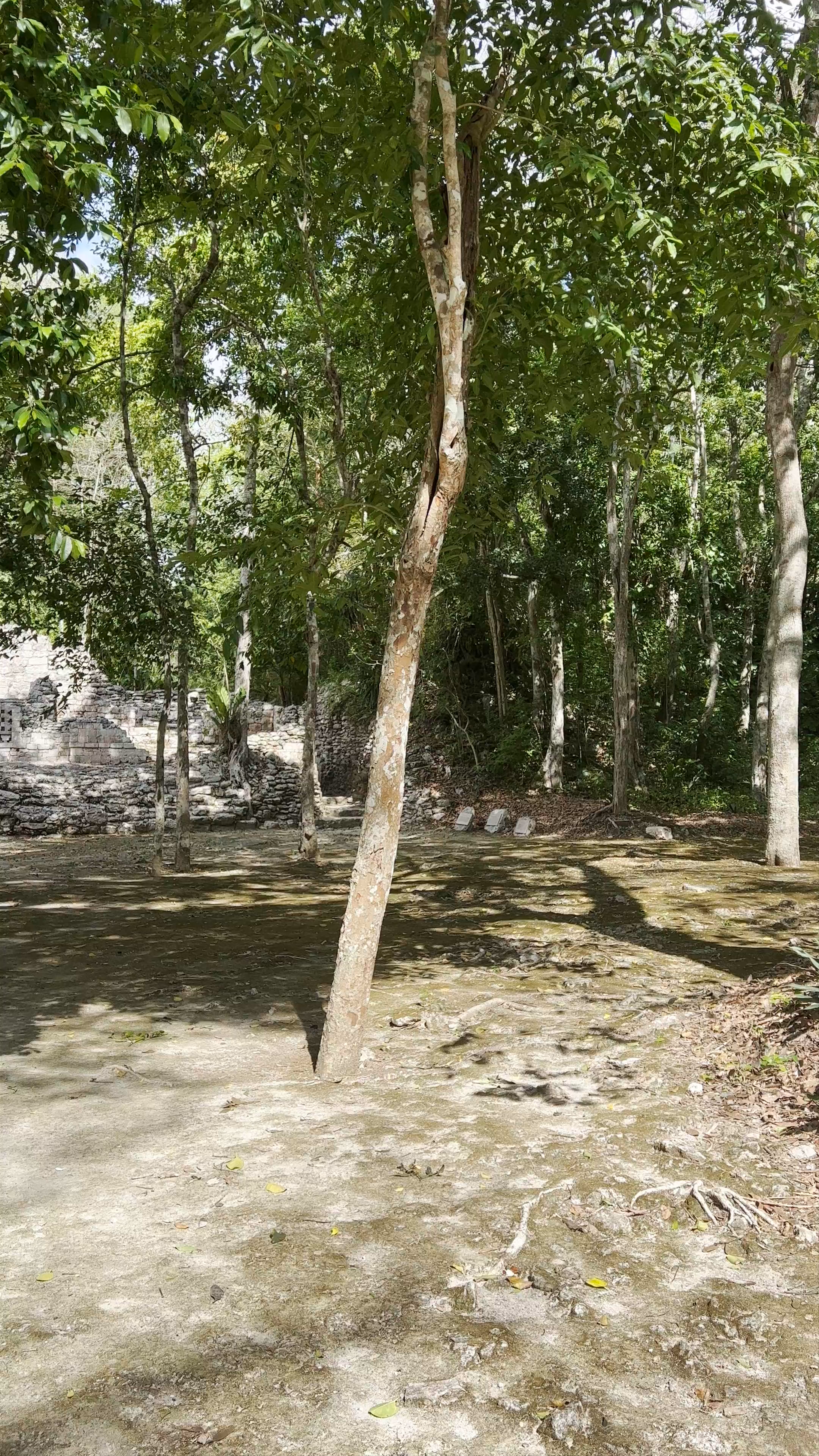 Archaeological Zone of Becán