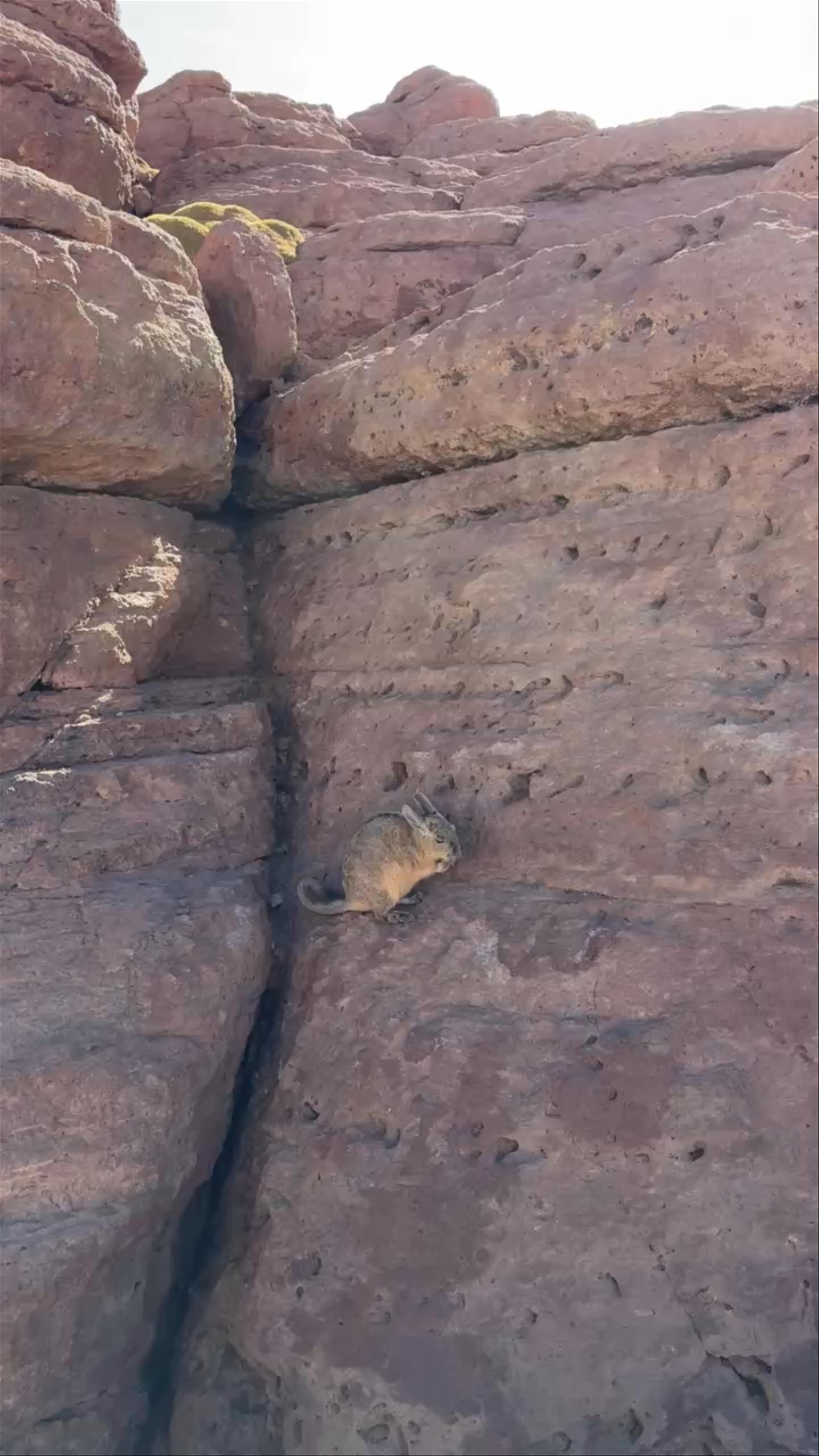 Cañón de las Vizcachas