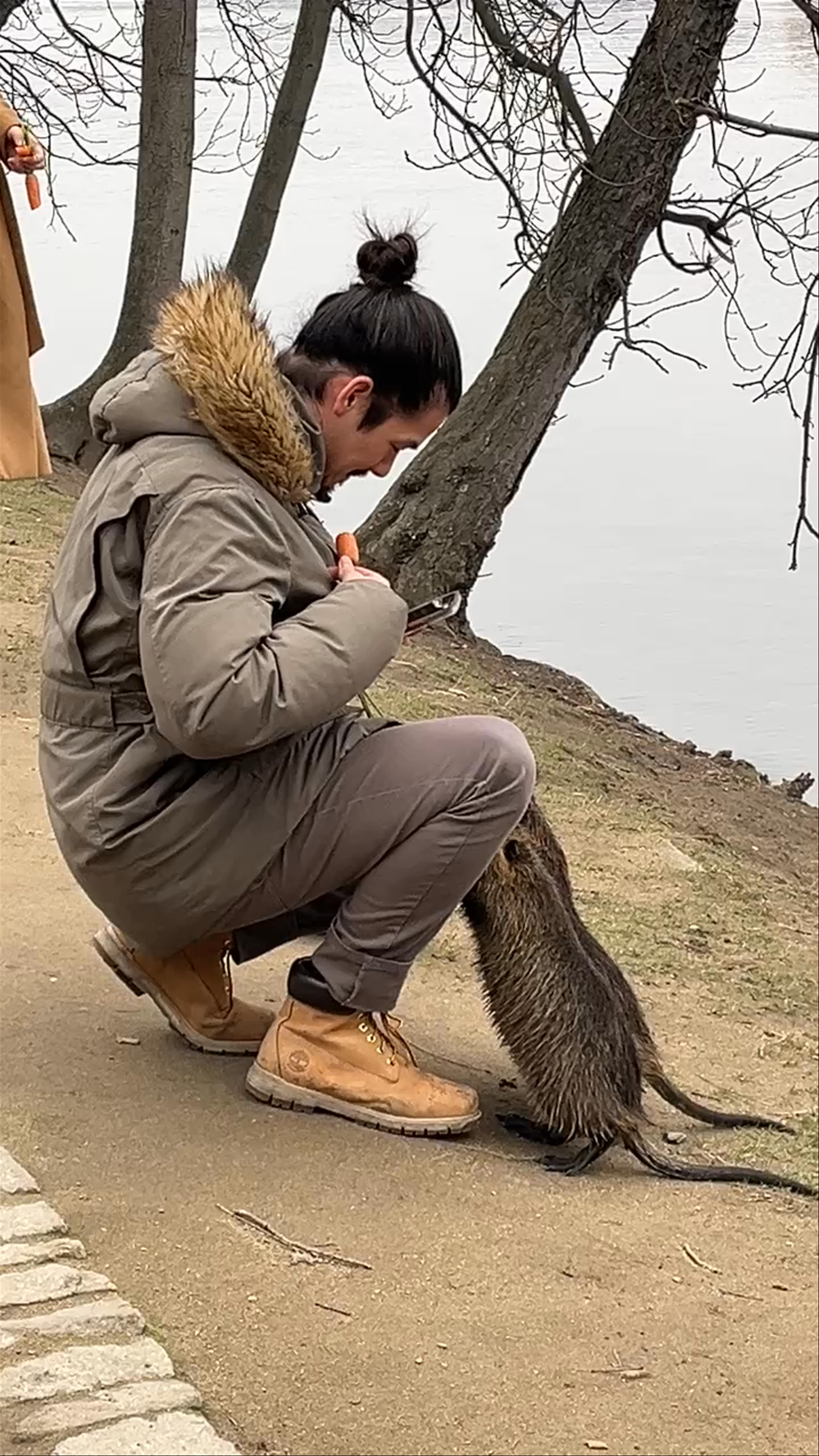 Charming Winter Encounter with Nutrias at Střelecký Island, Prague