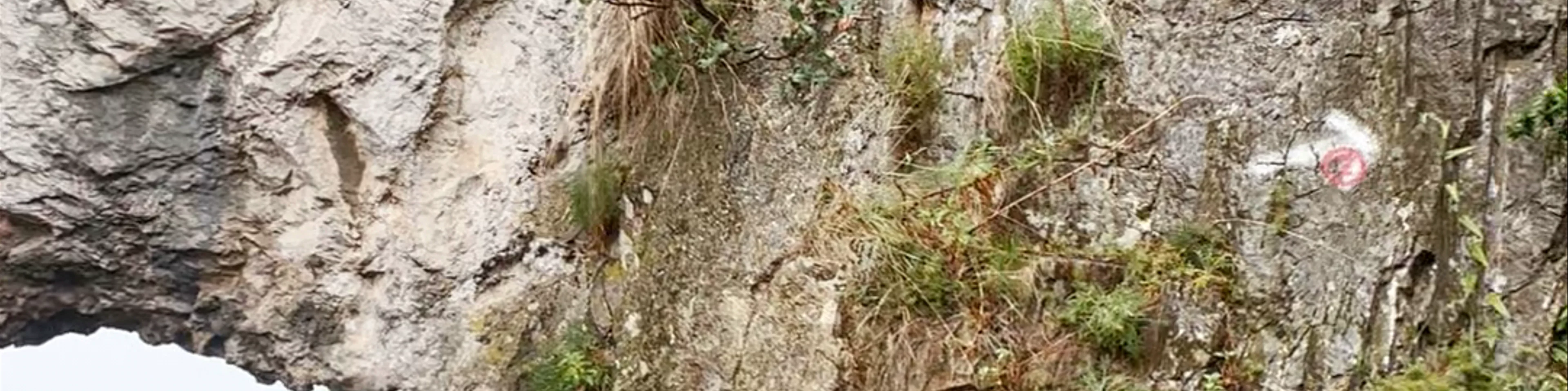 Capo Noli