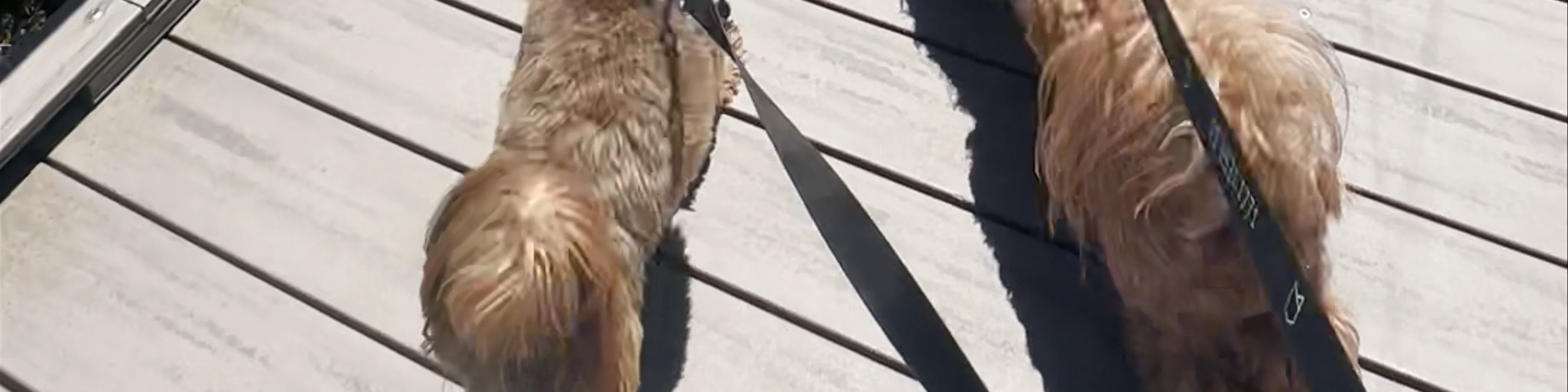 Frankston Beach