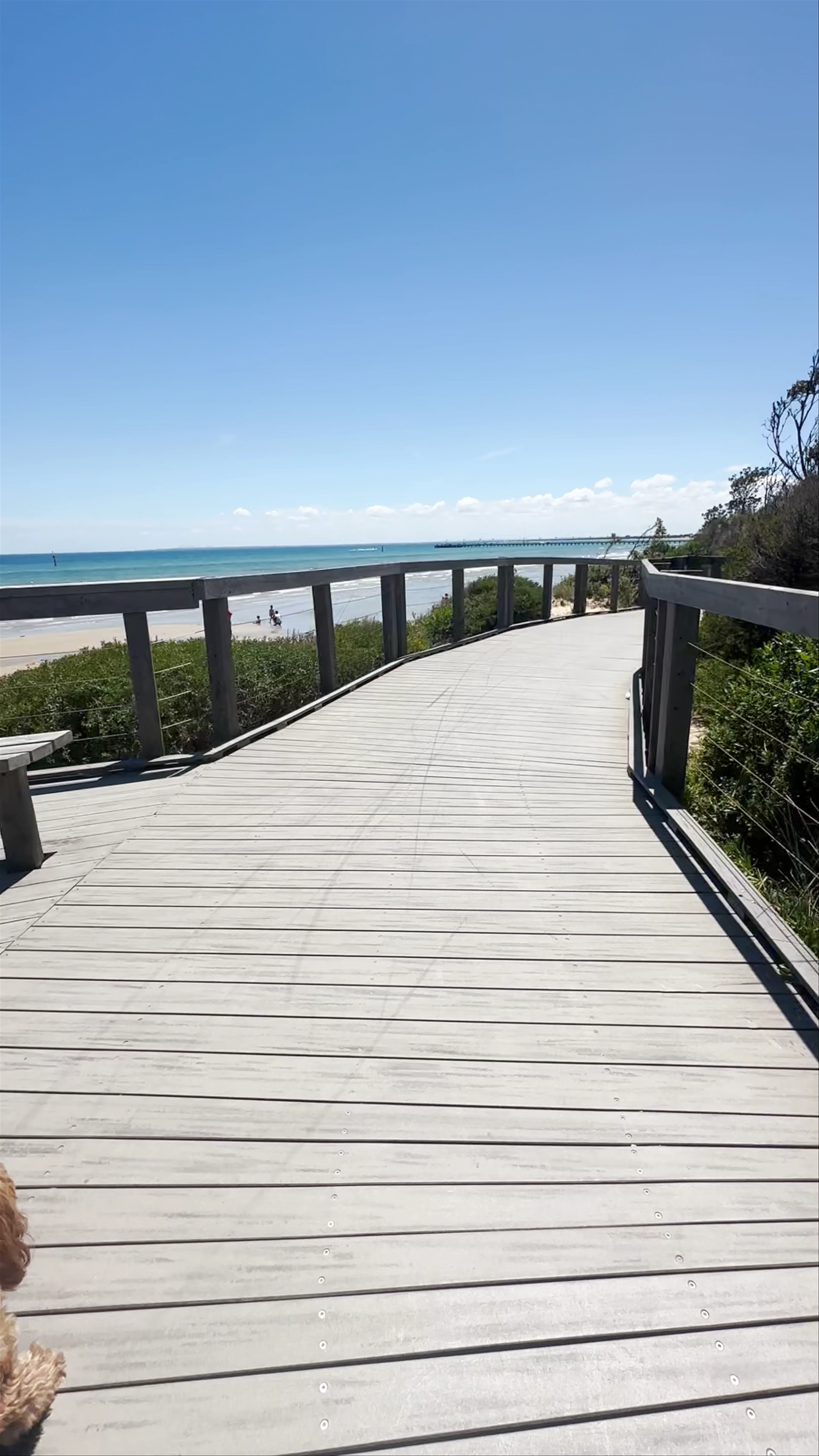 Frankston Beach