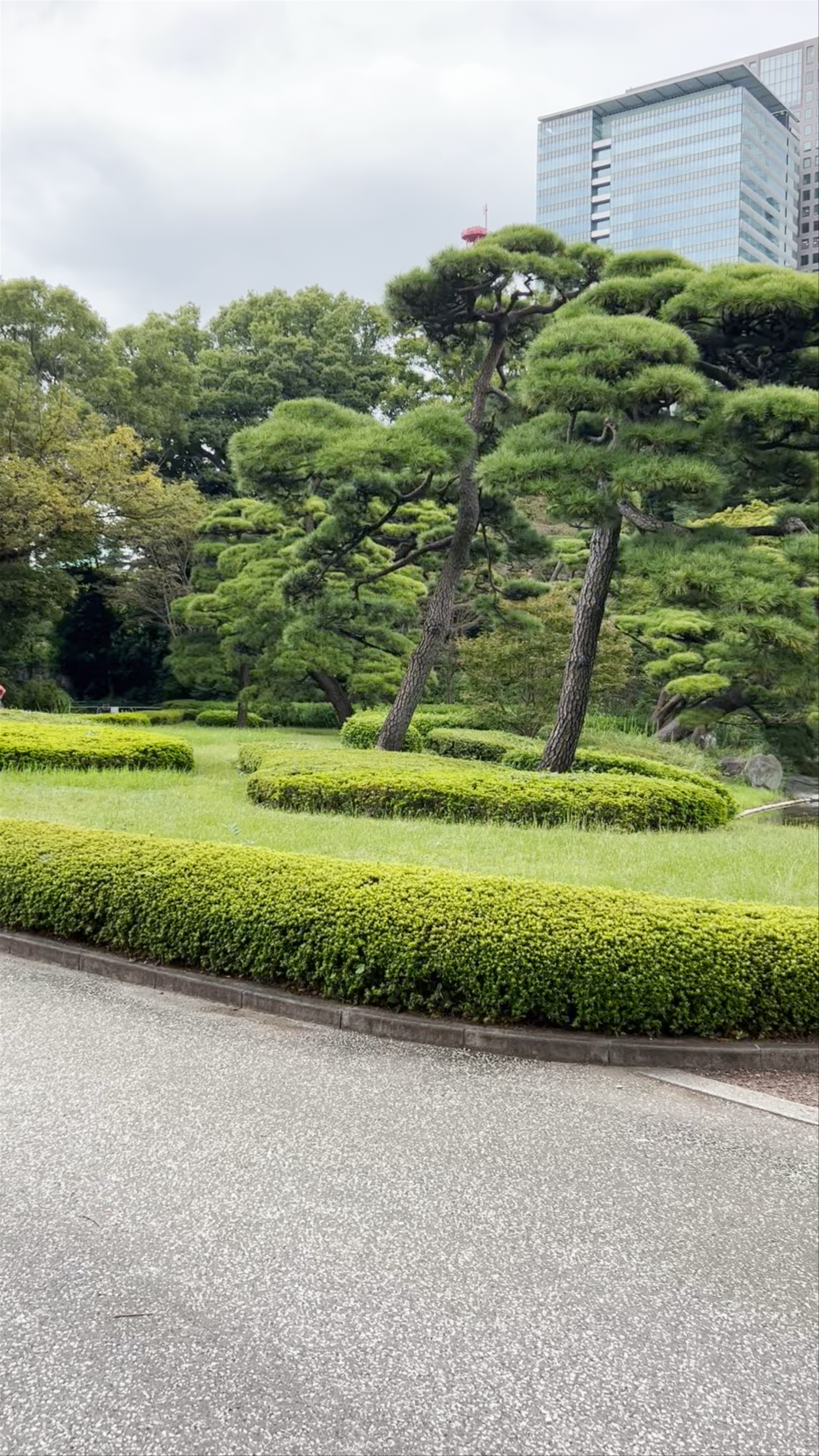 Ninomaru-Goten Palace