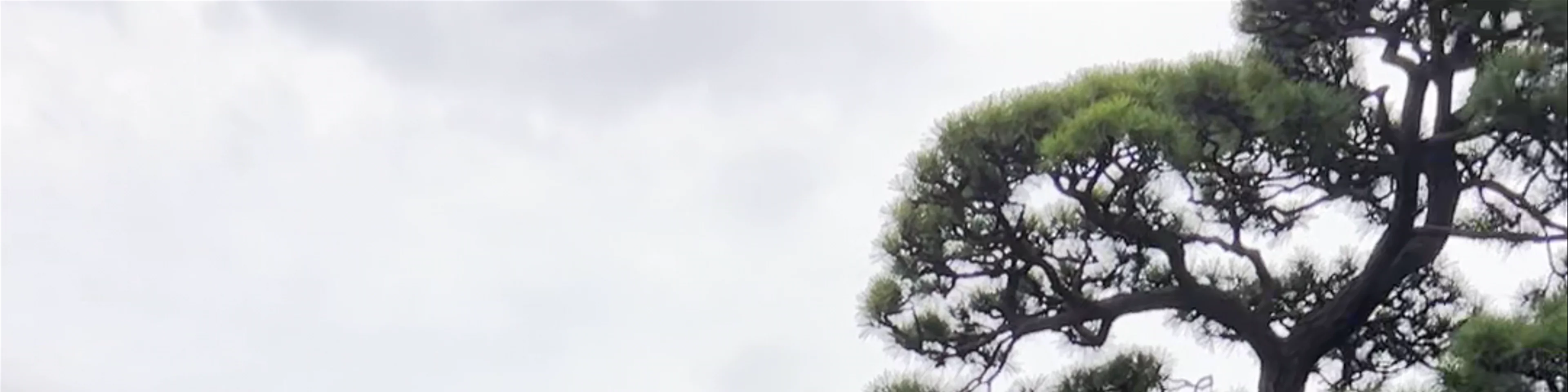 Ninomaru-Goten Palace