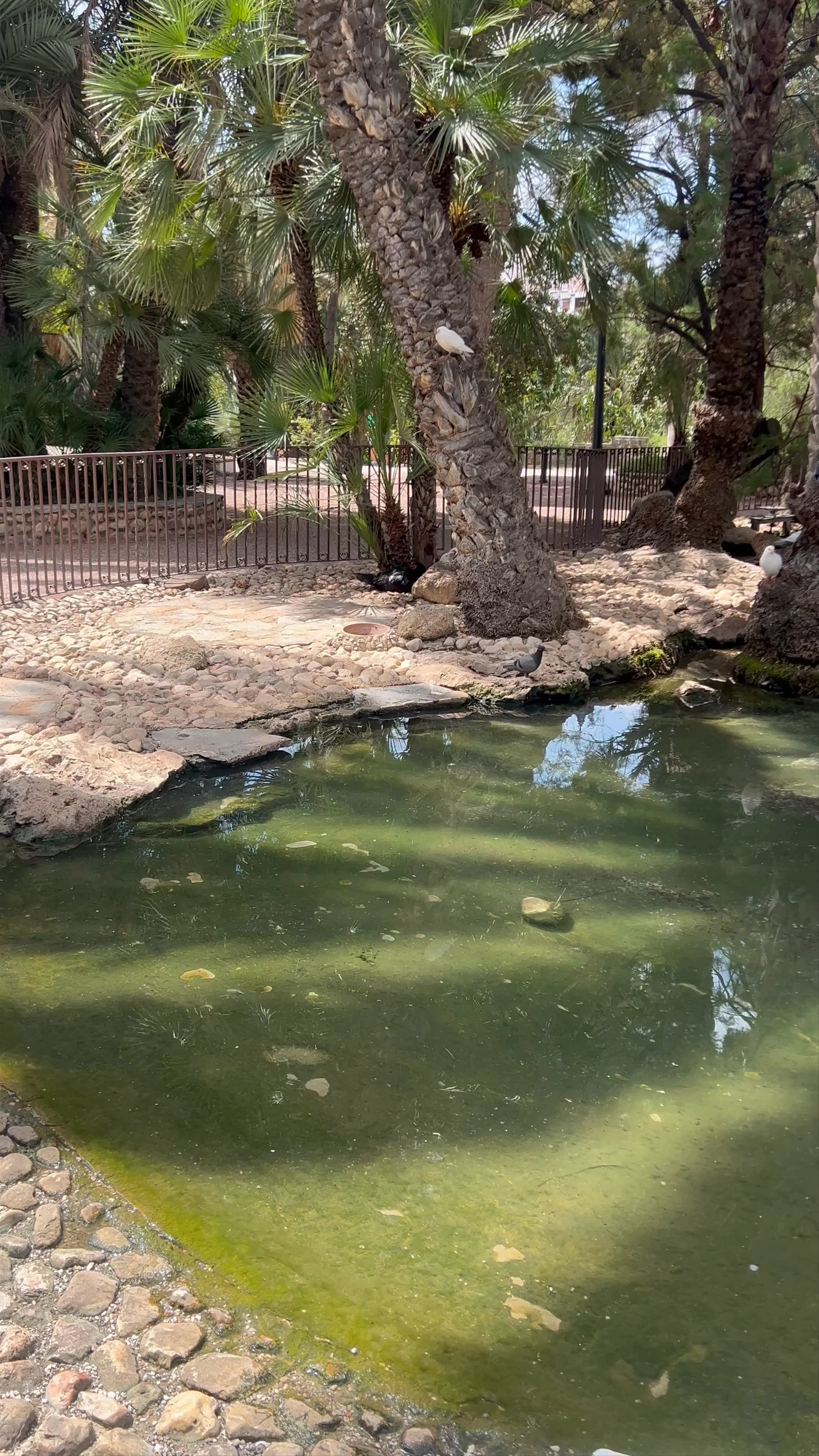 Serene Oasis at Parque Municipal, Elche - A Peaceful Urban Retreat