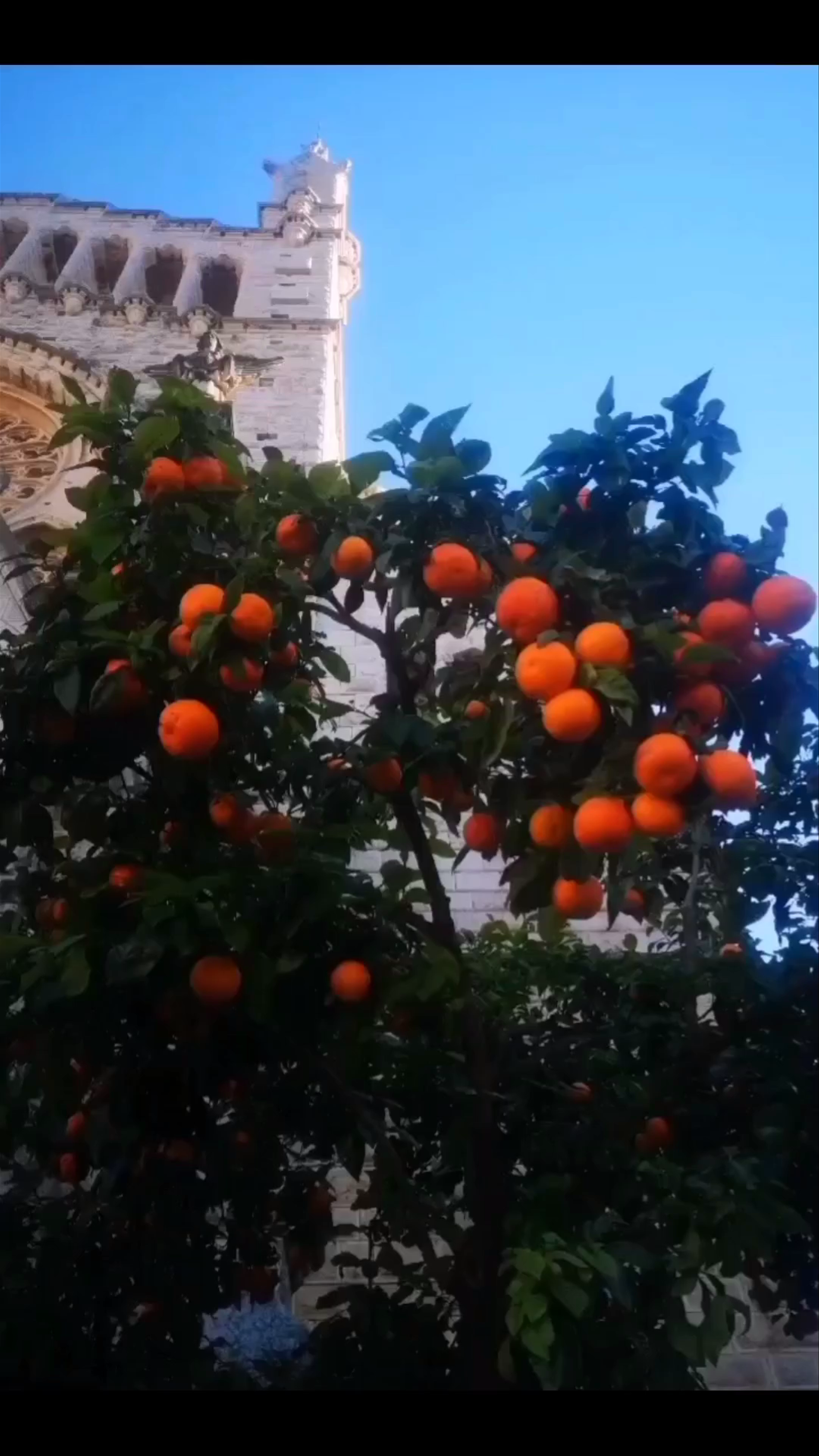 Església de Sant Bartomeu