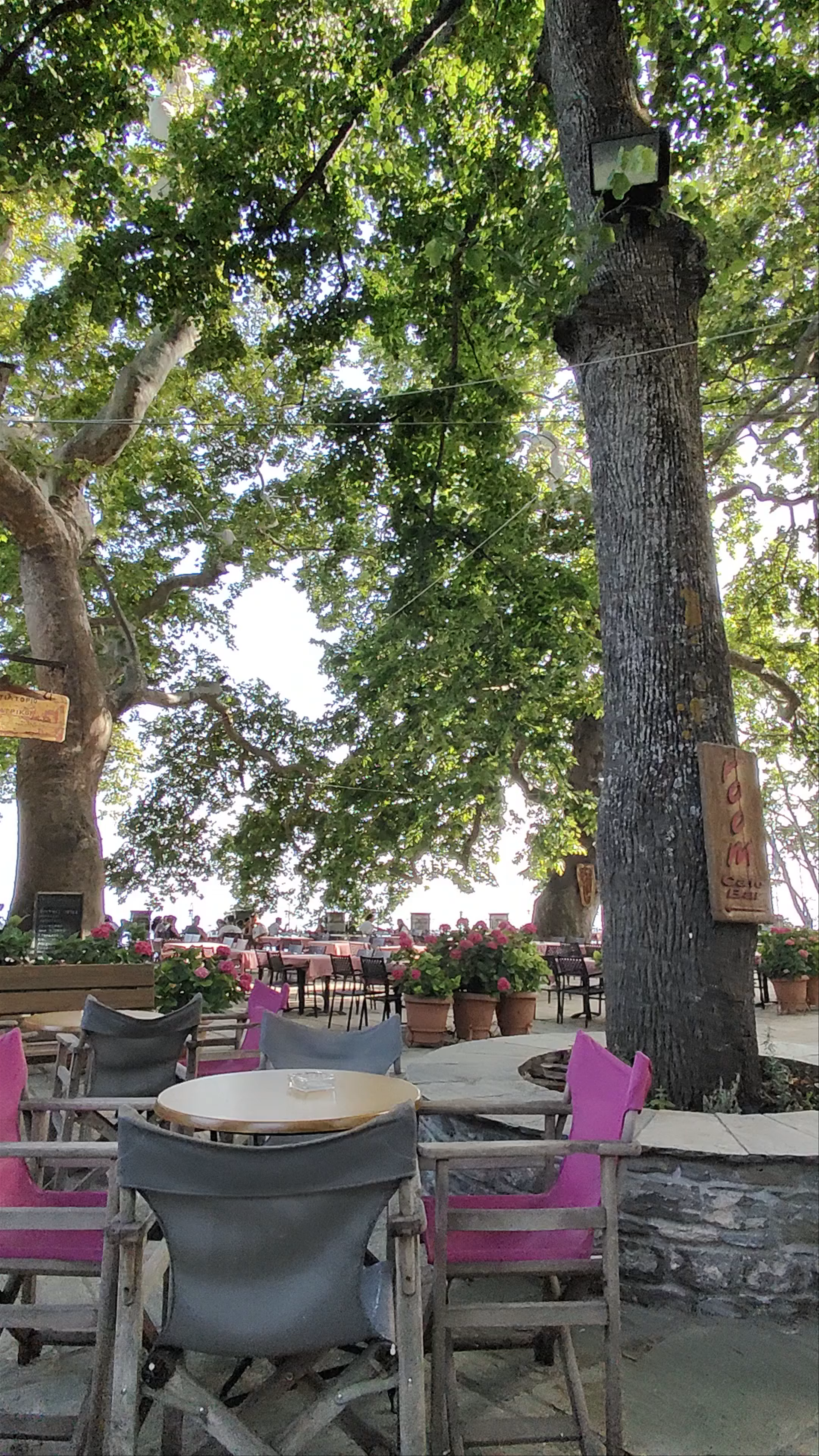 Hidden Espresso Bar Oasis in Makrinitsa, Greece
