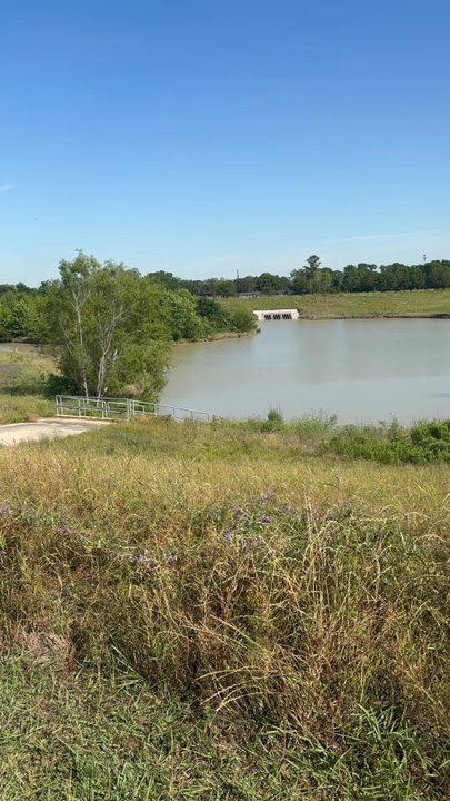 Willow Waterhole Conservation Reserve - Dog Parks Near Me - Houston, Texas