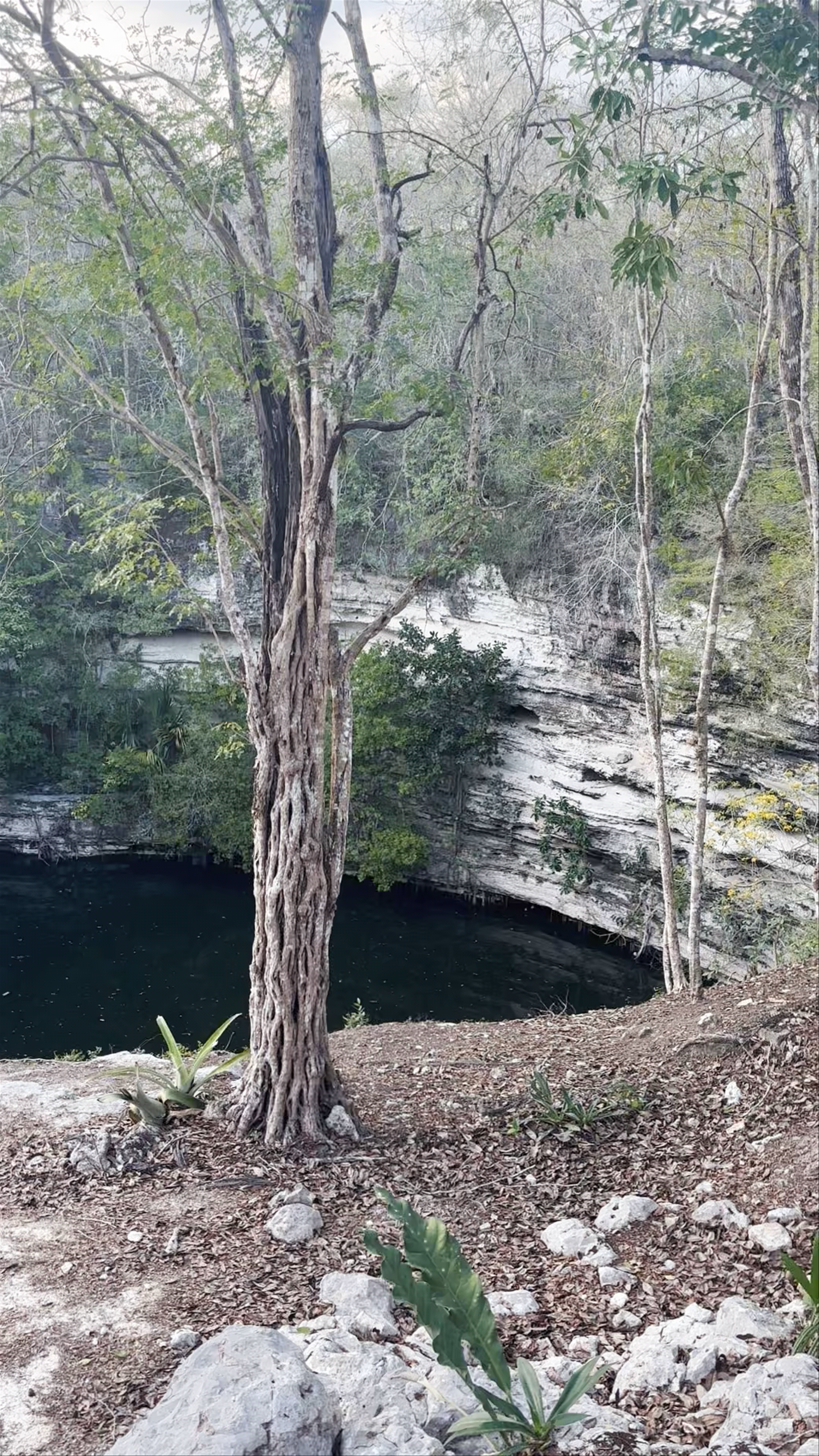 Sacred Cenote