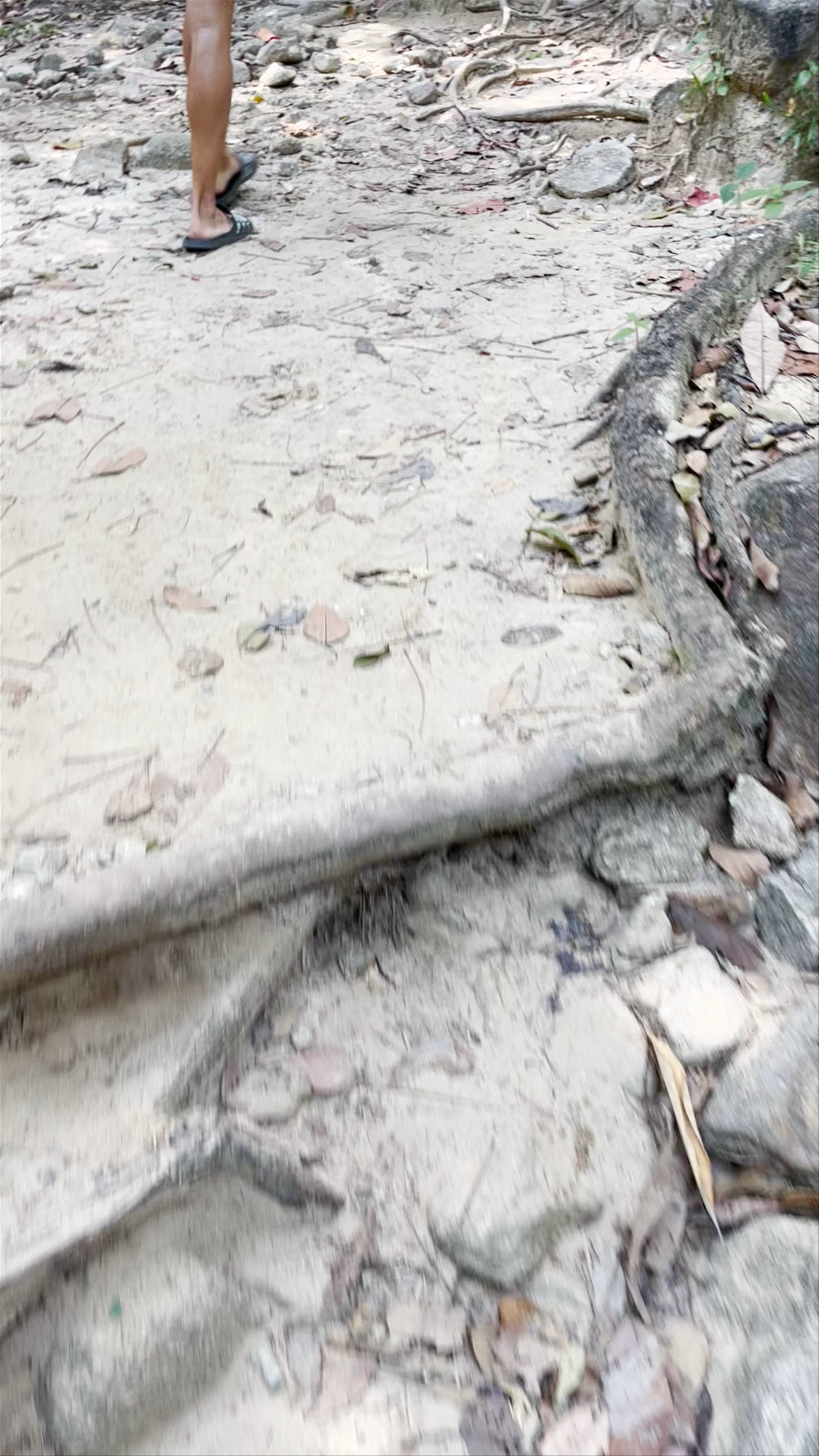 Sai Rung Waterfall Adventure in Phang Nga, Thailand
