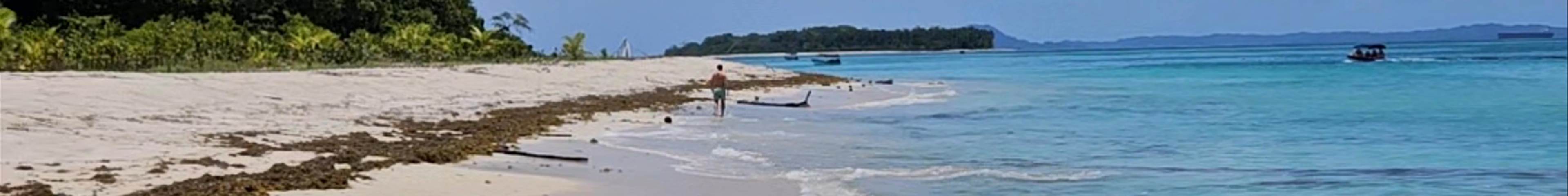 Tours & experiences in Bocas del Toro