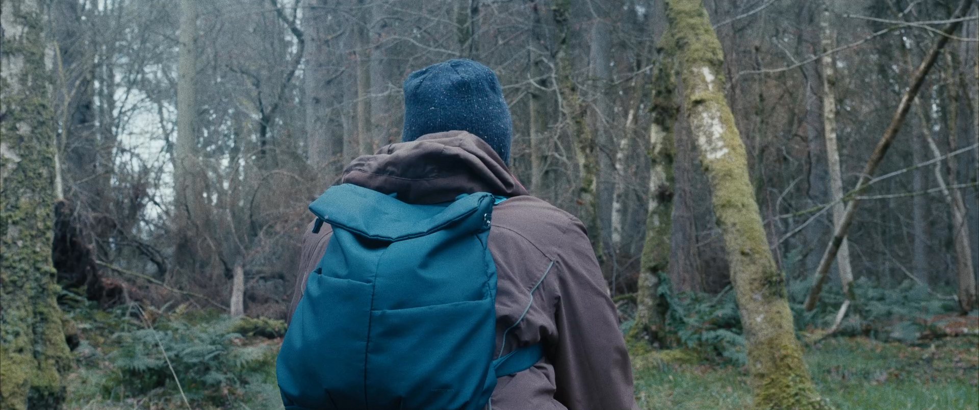 A lone hiker with a backpack consults a smartphone while seated on a fallen log in a dense, mist-covered forest. The individual assesses the device to determine their route through the wilderness.