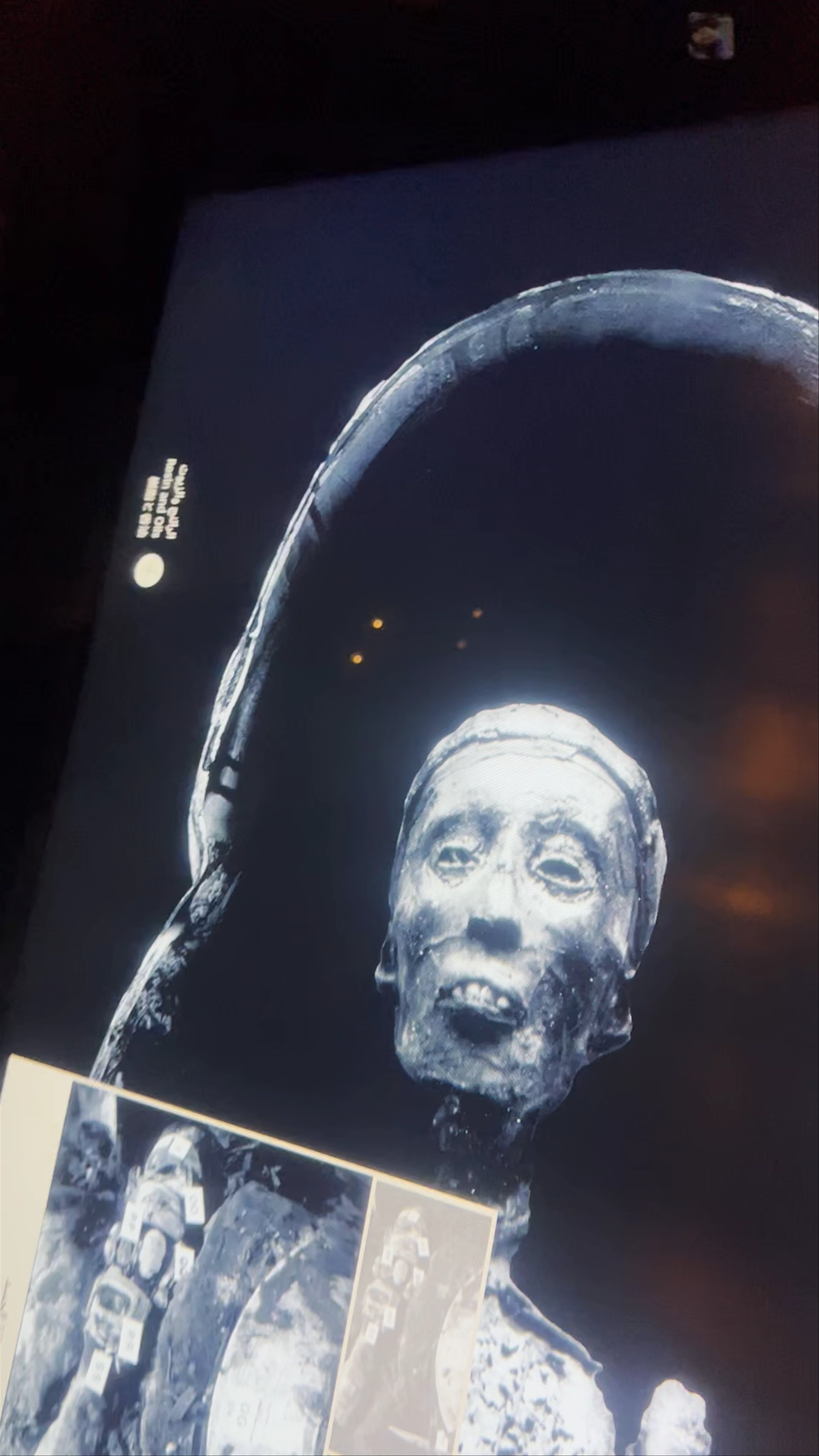 Tutankhamun Gallery