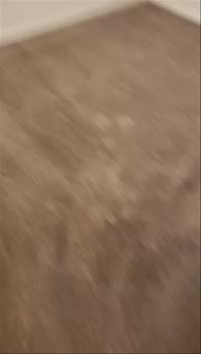 State 48 Cleaning Services - They cleaned my Condo after I moved out and were very thorough. - Carpet Cleaning Near Me - Phoenix, Arizona