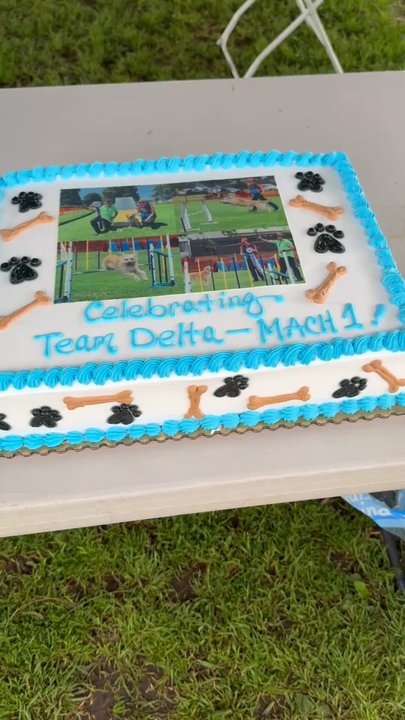 Ruby Bakery - Half sheet vanilla cake with strawberry filling to celebrate a huge milestone achievement for my dog and me in dog agility competition - Bakeries Near Me - Los Angeles, California