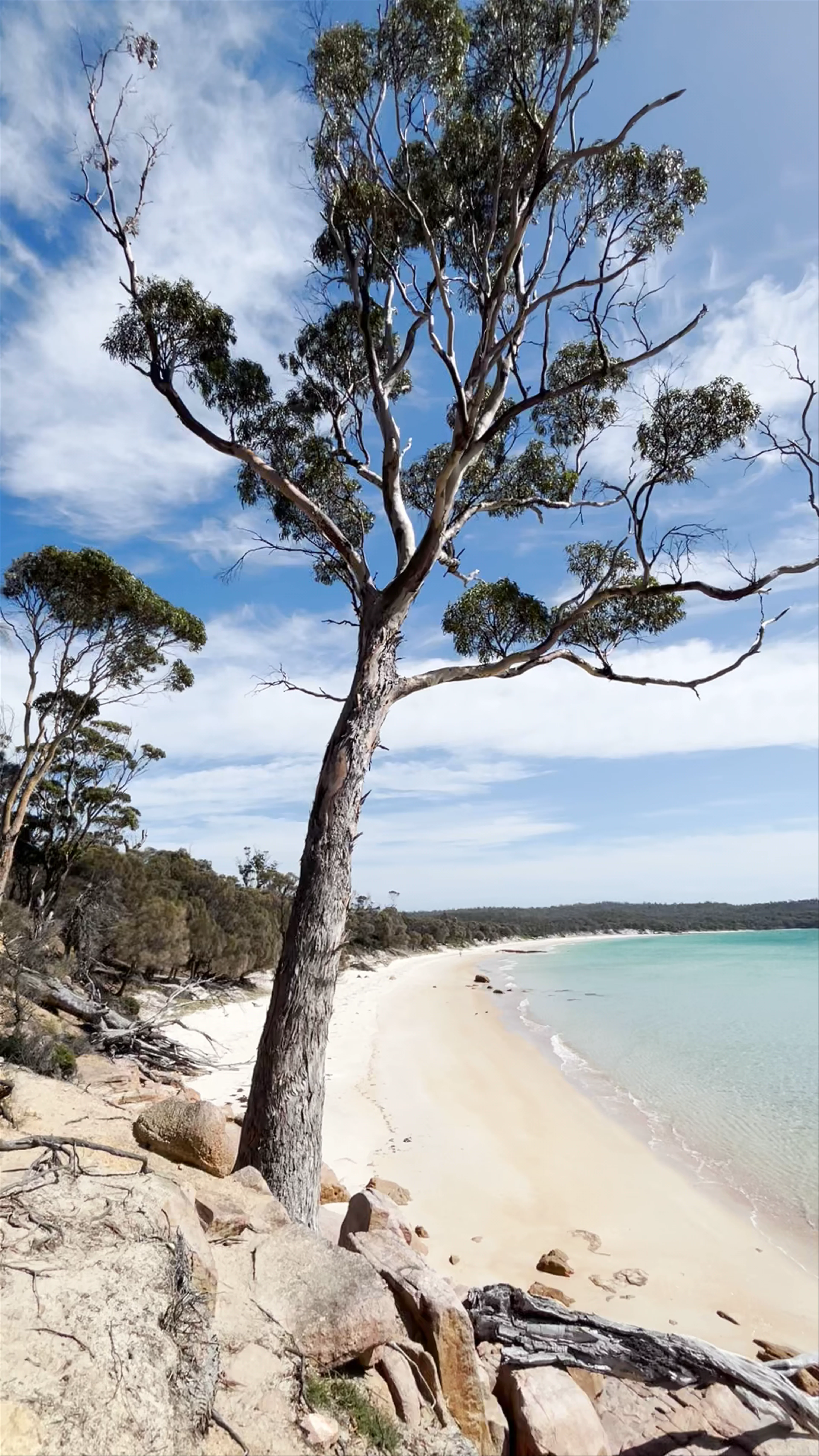 Cooks Beach