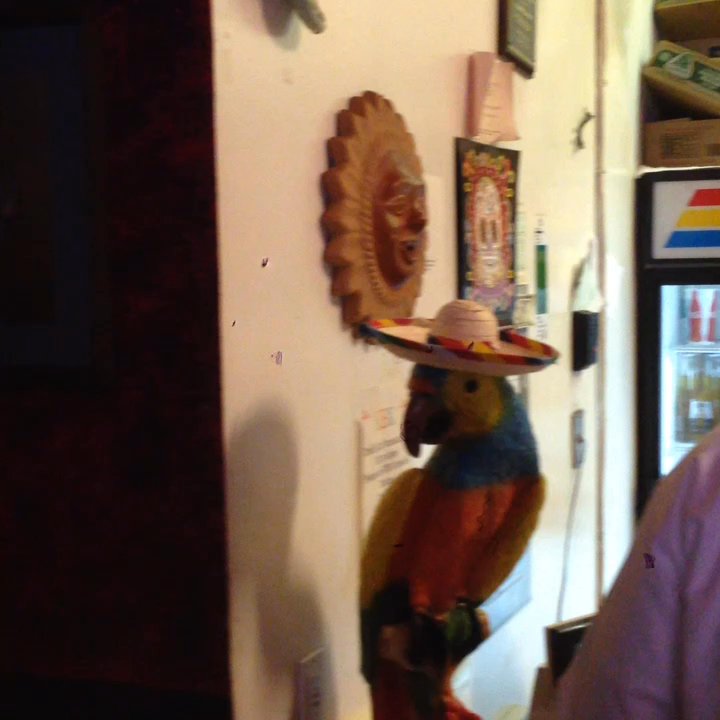 El Burrito Express - Just a shot of the counter and the dining room on a Friday night. - Mexican Near Me - San Francisco, California