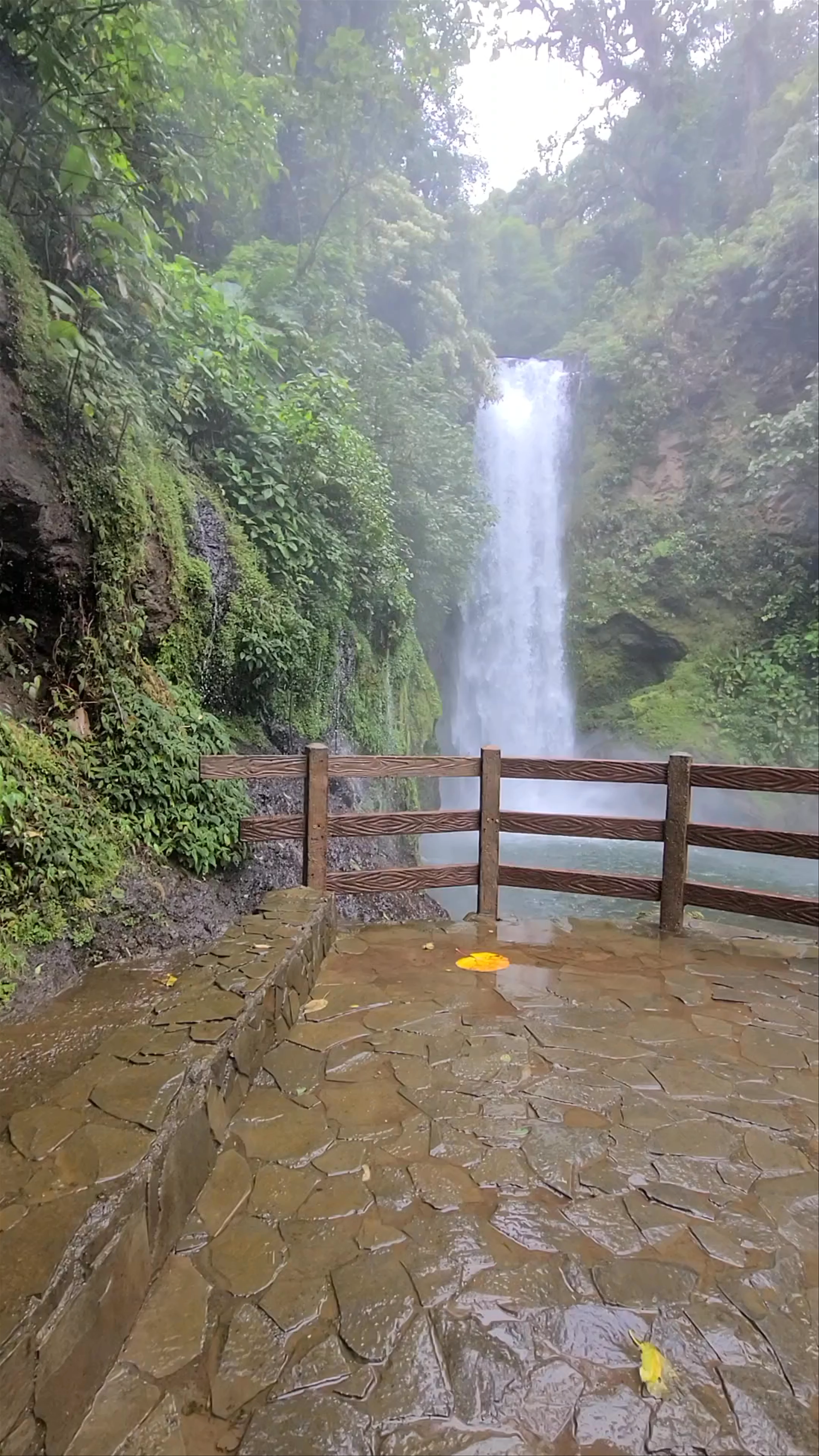 Peace Lodge, Poás Volcano National Park