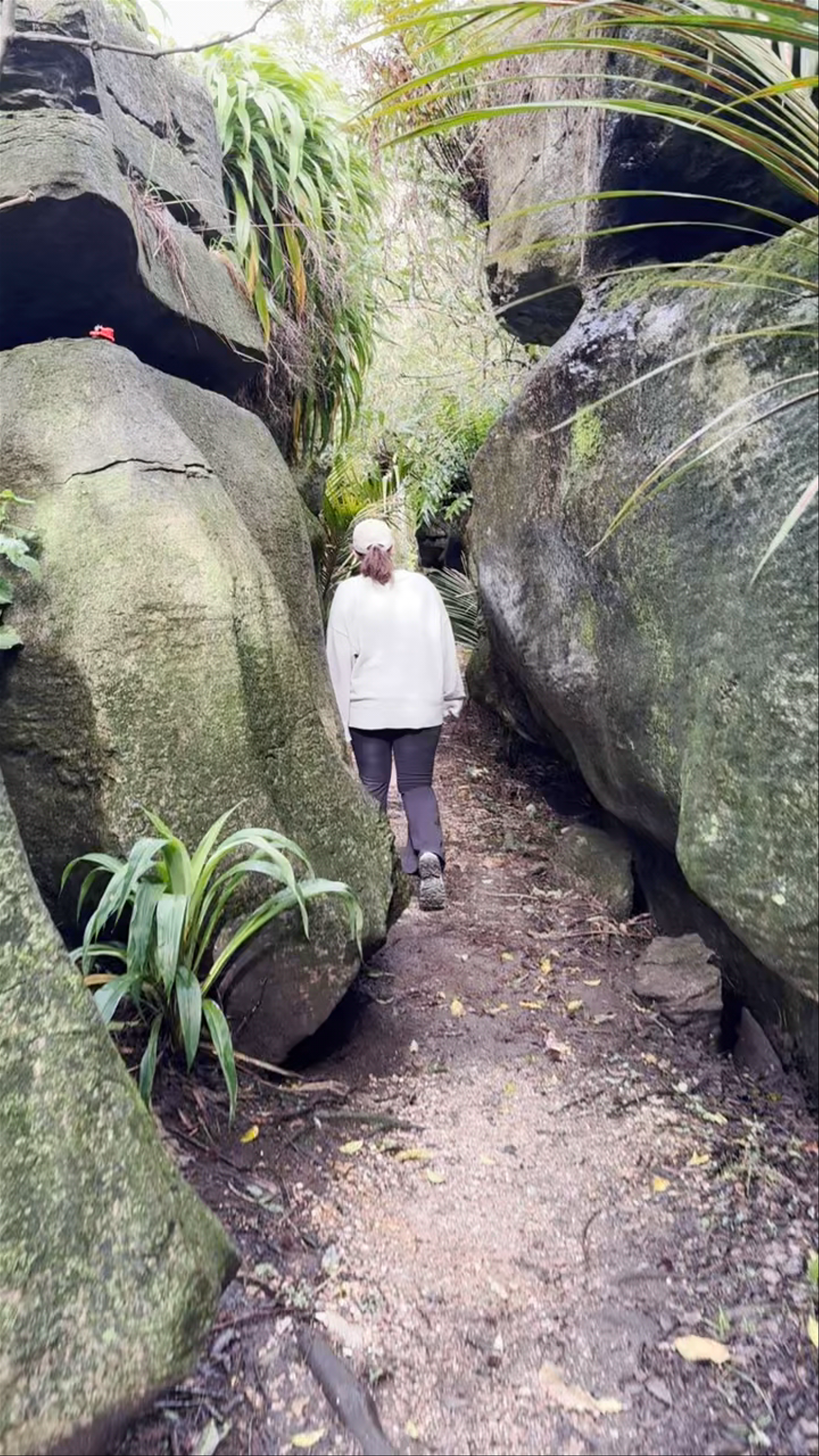 Labyrinth Rocks Scott Rd