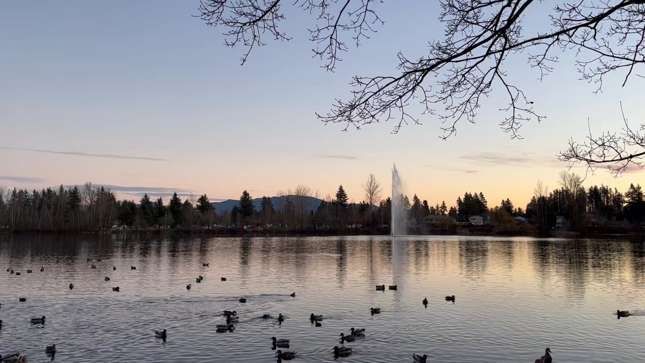 Mill Lake Park - Parks Near Me - Abbotsford, British Columbia