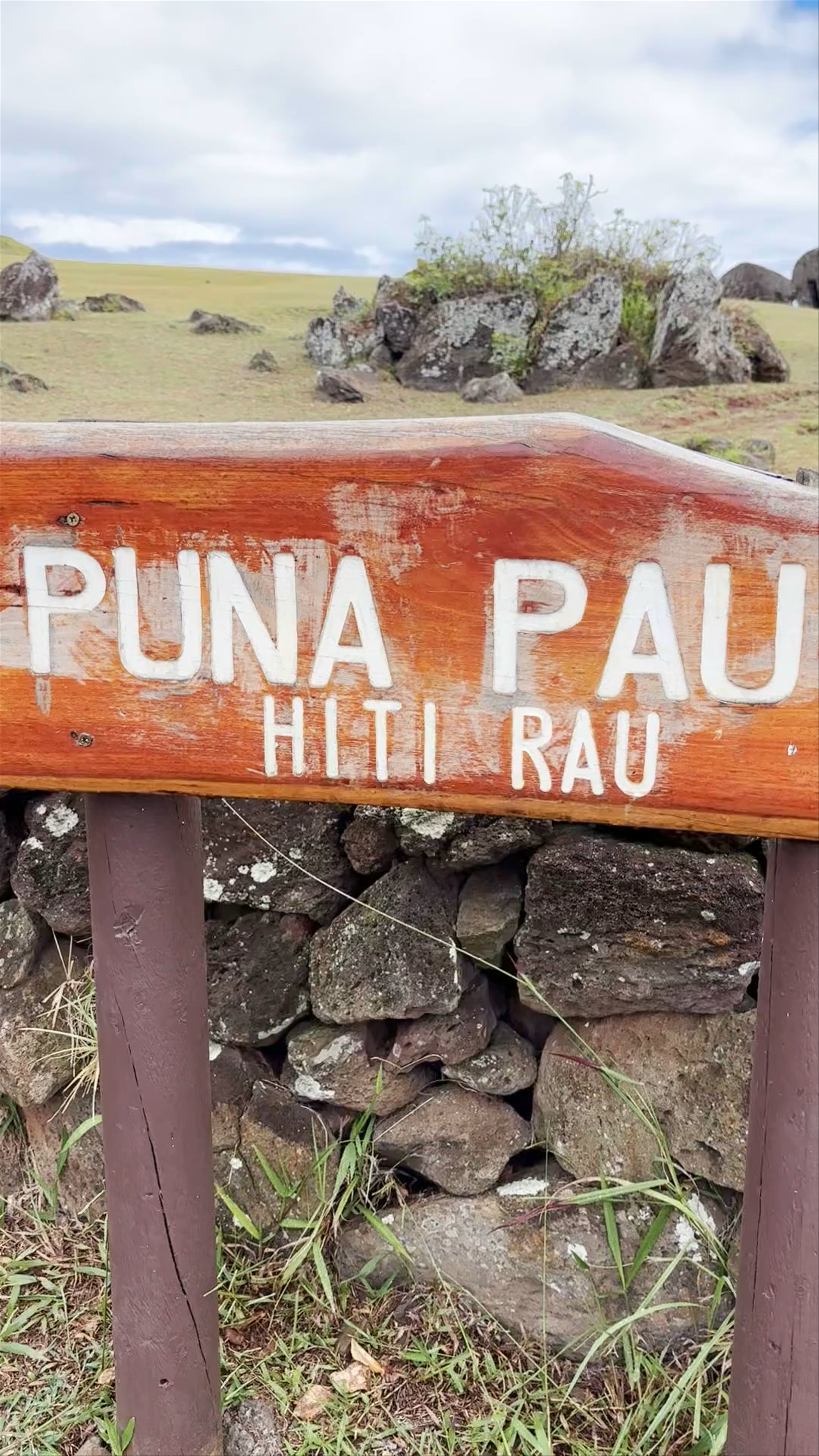 Puna Pau