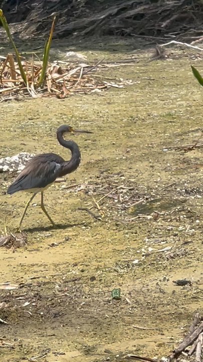 Overlook Park - Parks Near Me - Oviedo, Florida