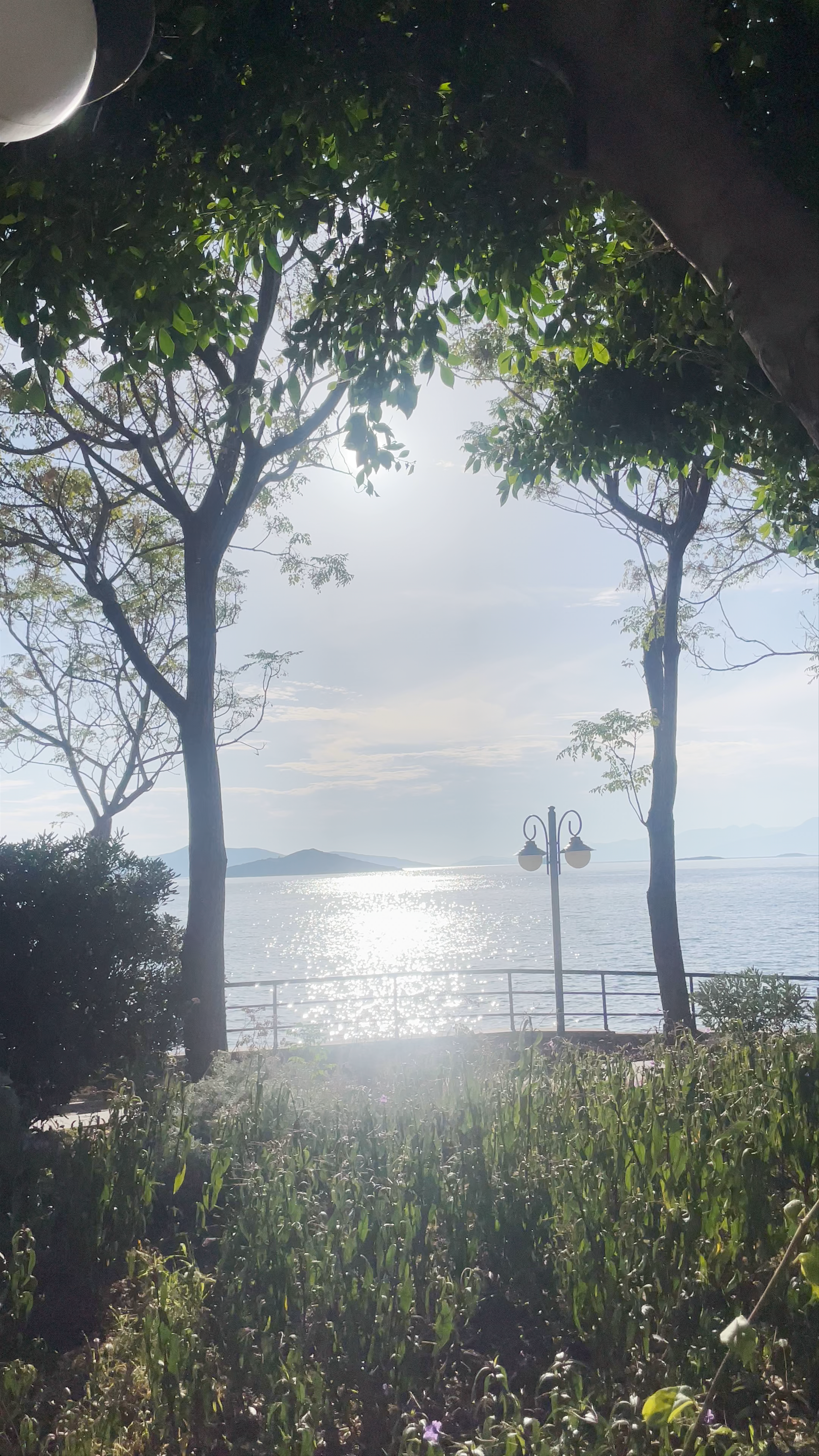 Şevket Sabancı Parkı