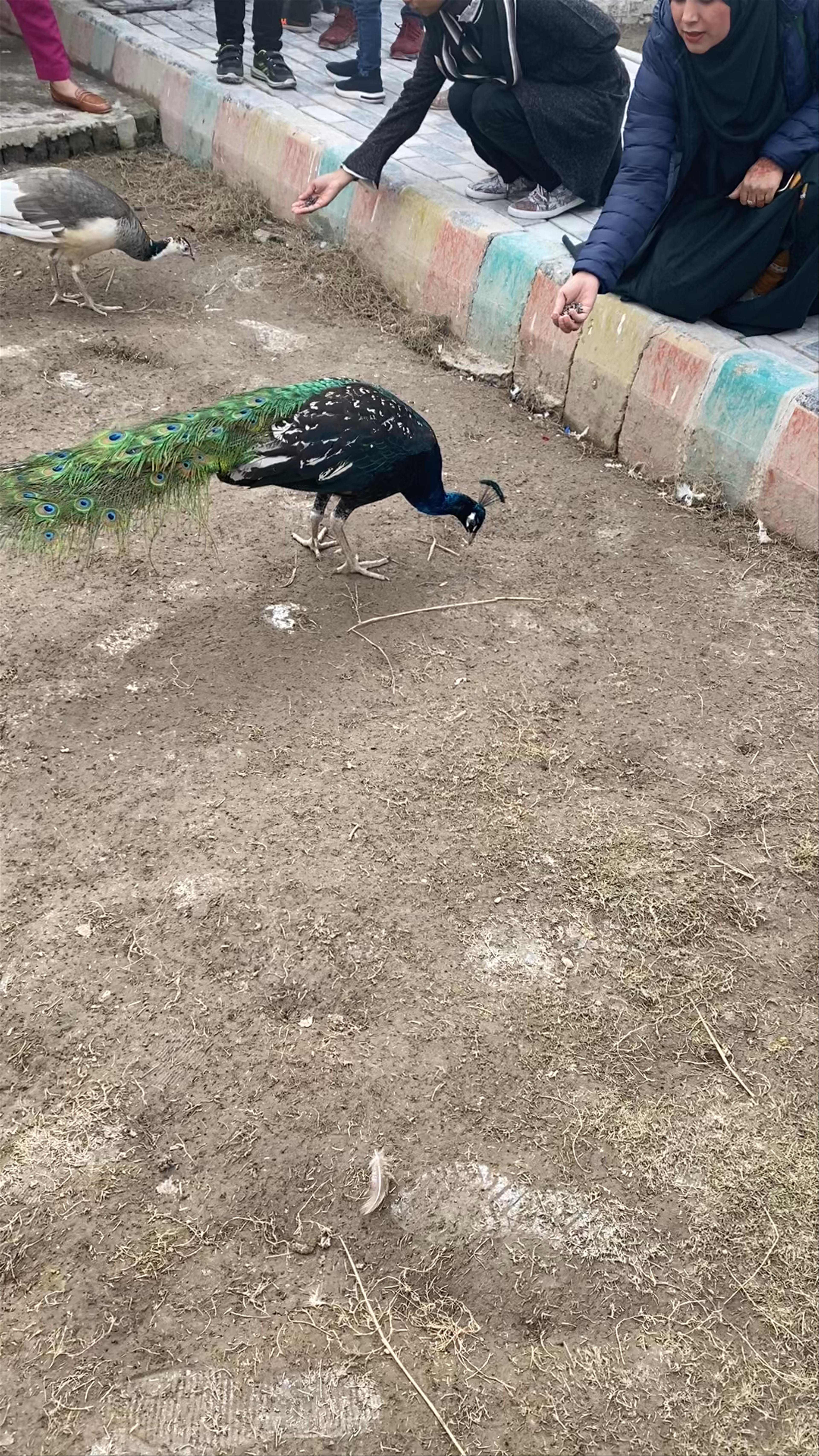 Lahore Wildlife Park