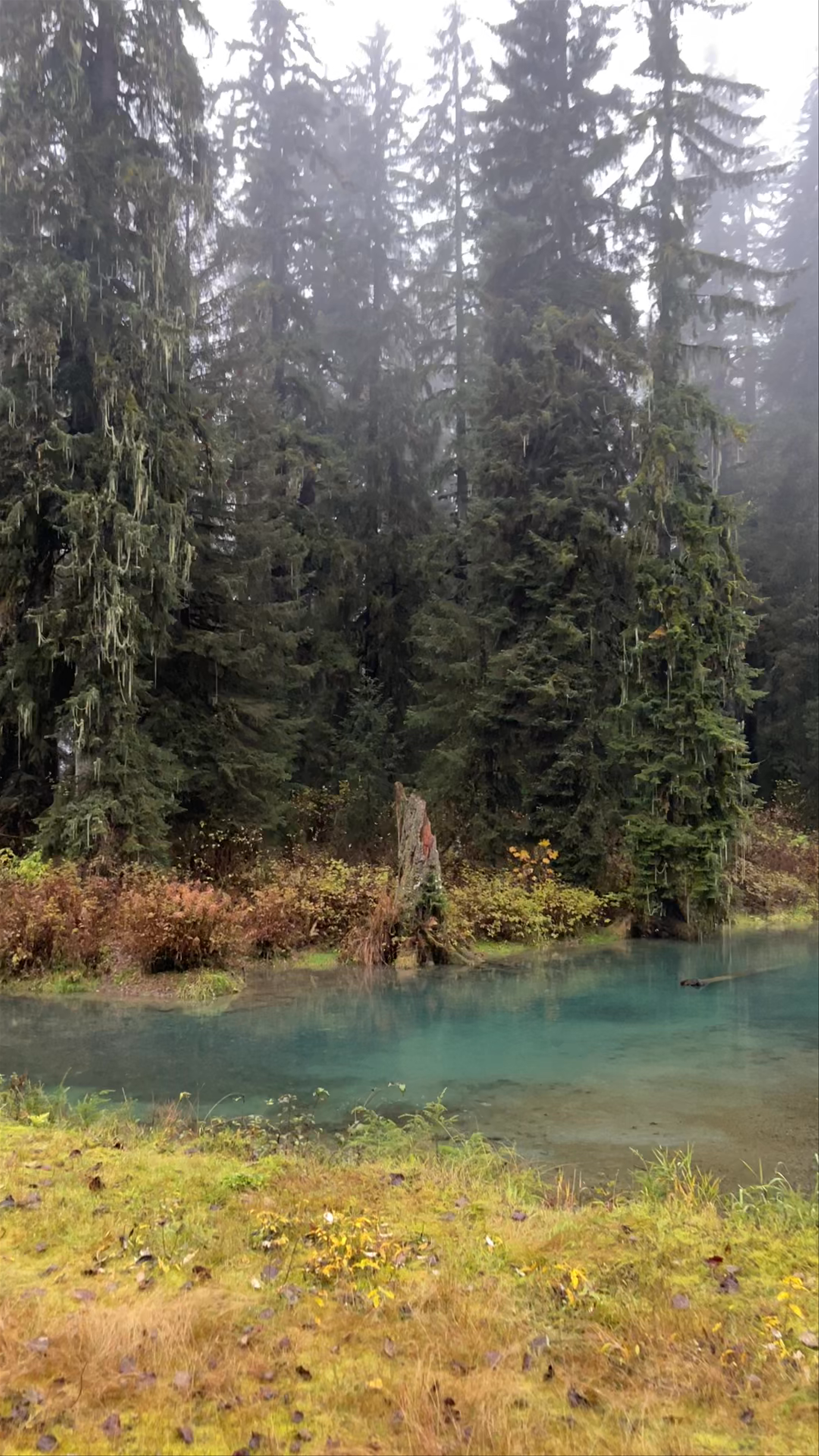 Fish Creek Wildlife Observation Site
