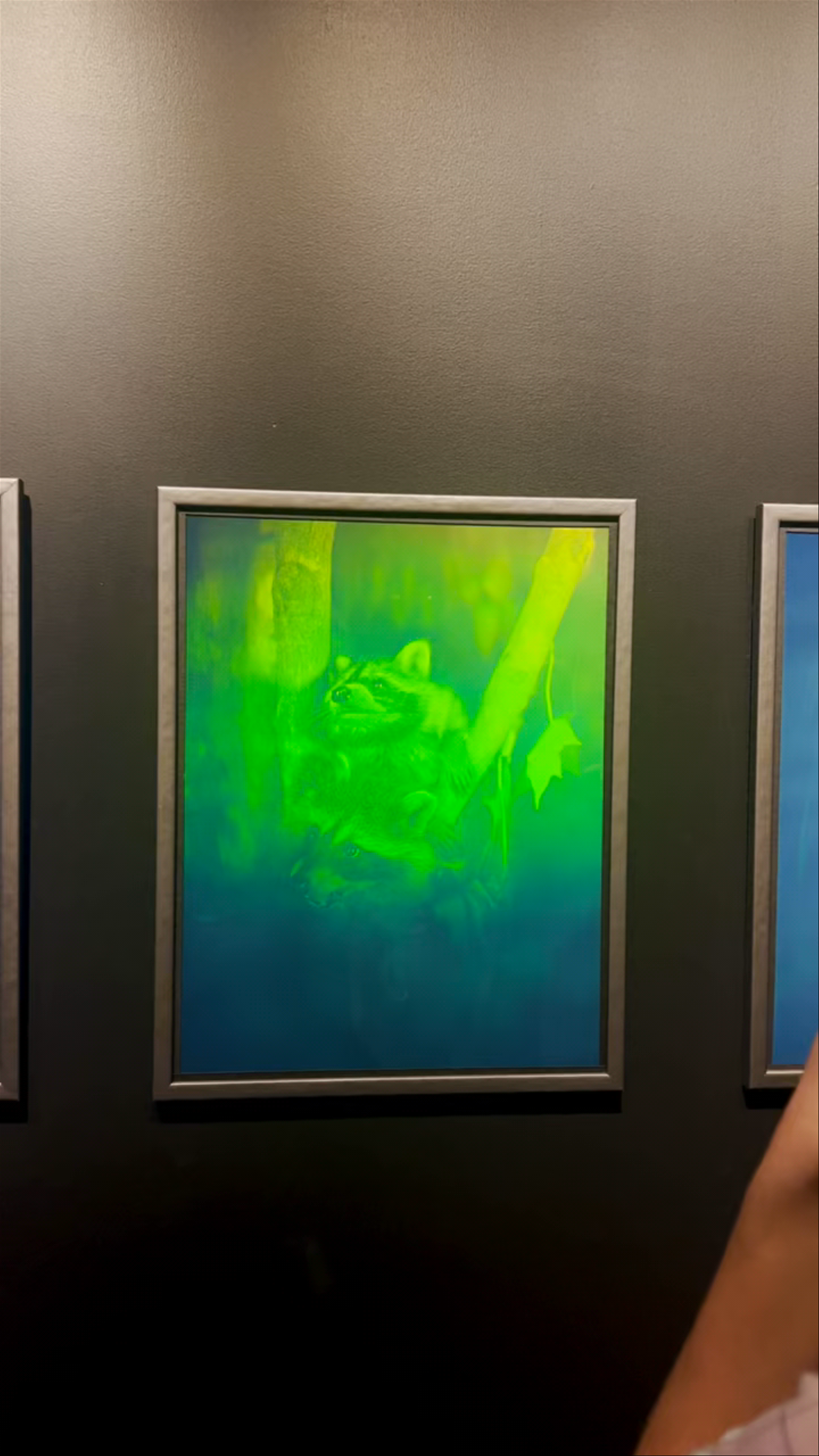 Paradox Museum Miami