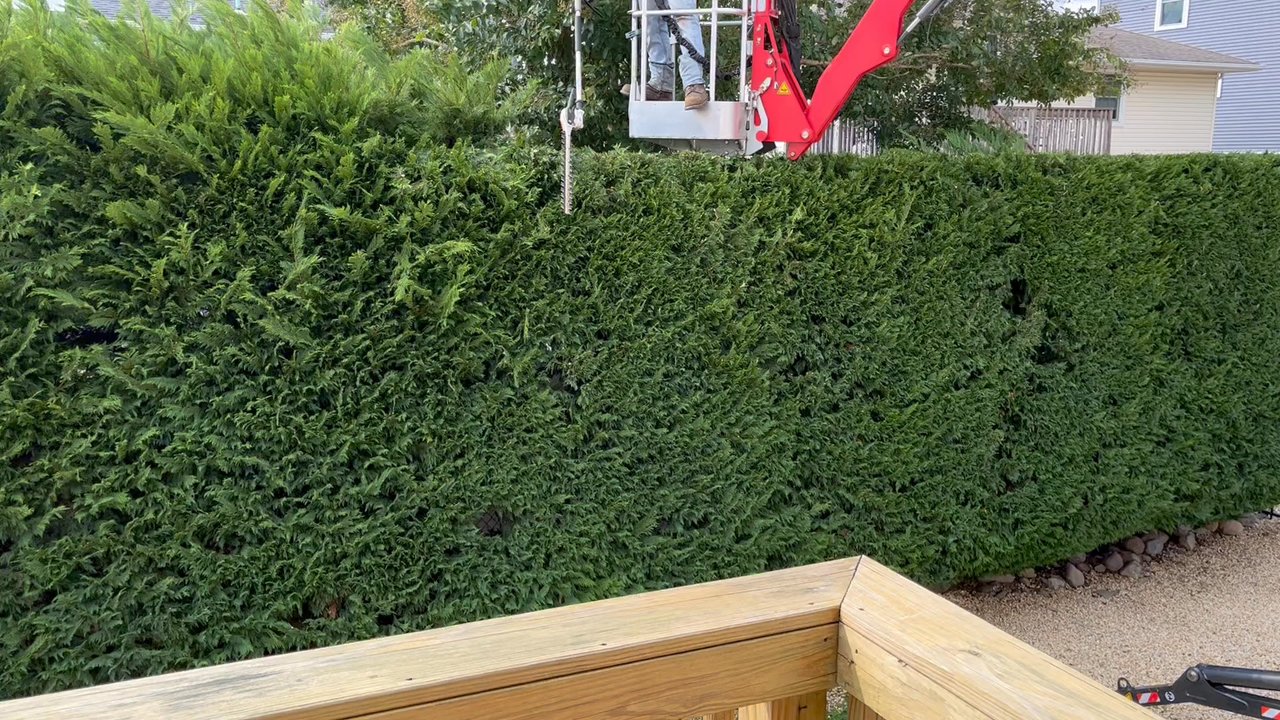 Arbor Rich Tree Service - Tree Services Near Me - Brick, New Jersey