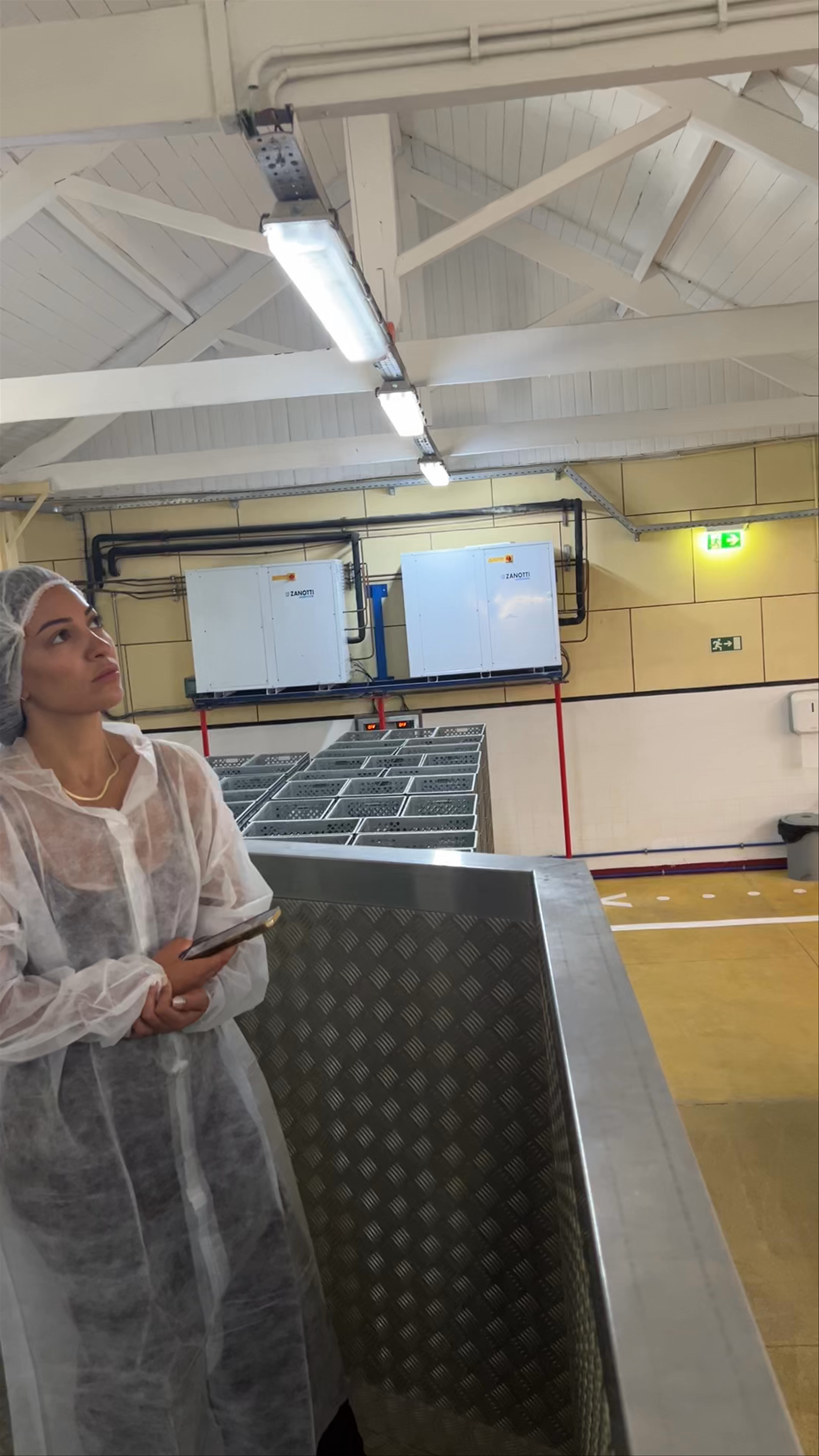 Pinhais Cannery & Co.