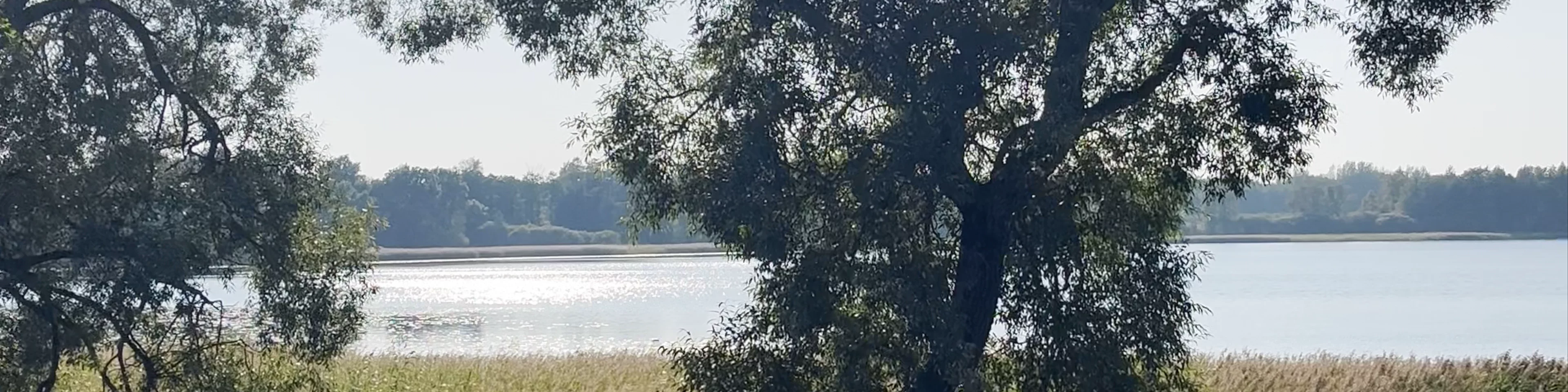 Marinzejas ezera piknika vieta