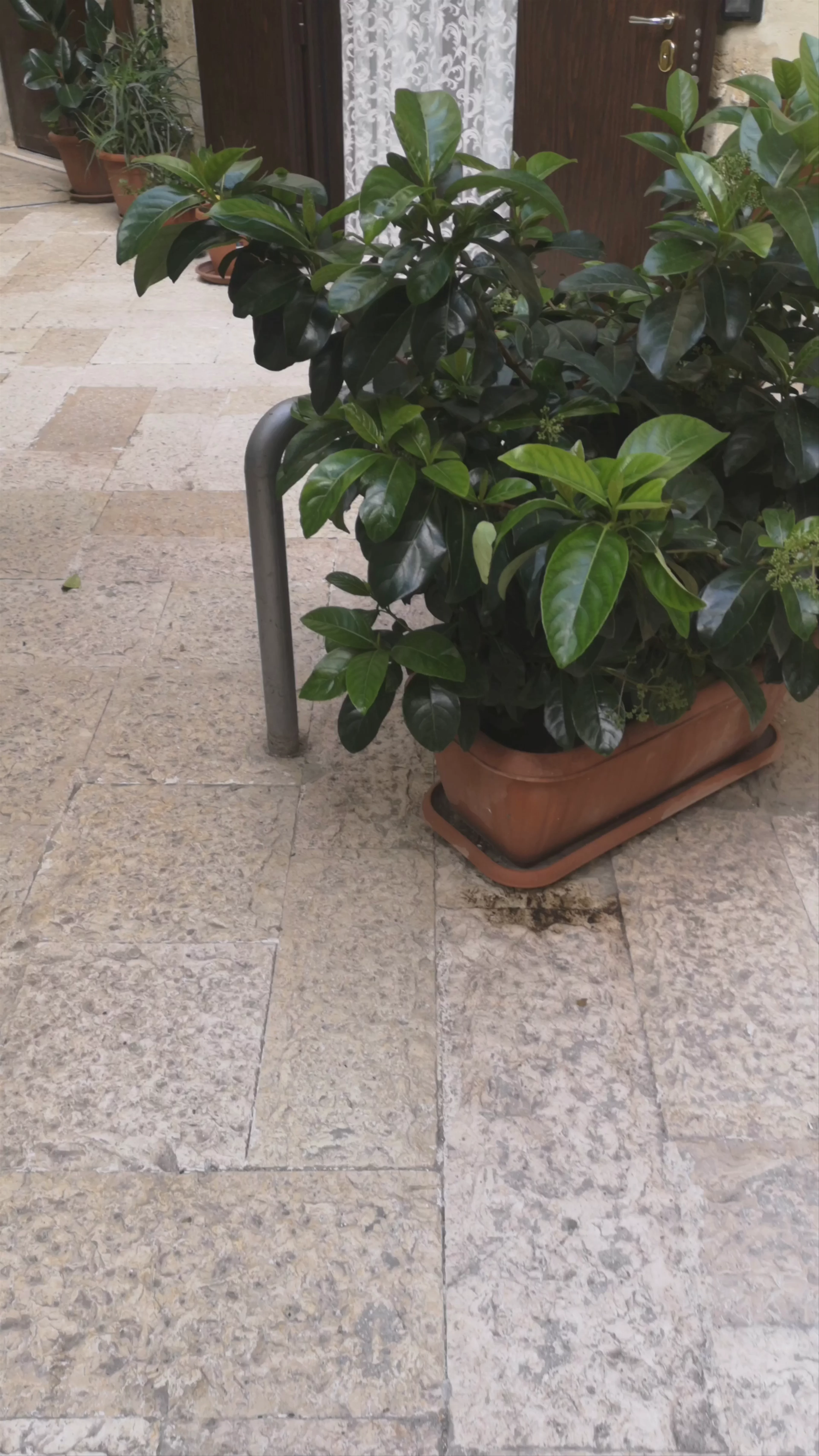 Str. Ronchi, Bari