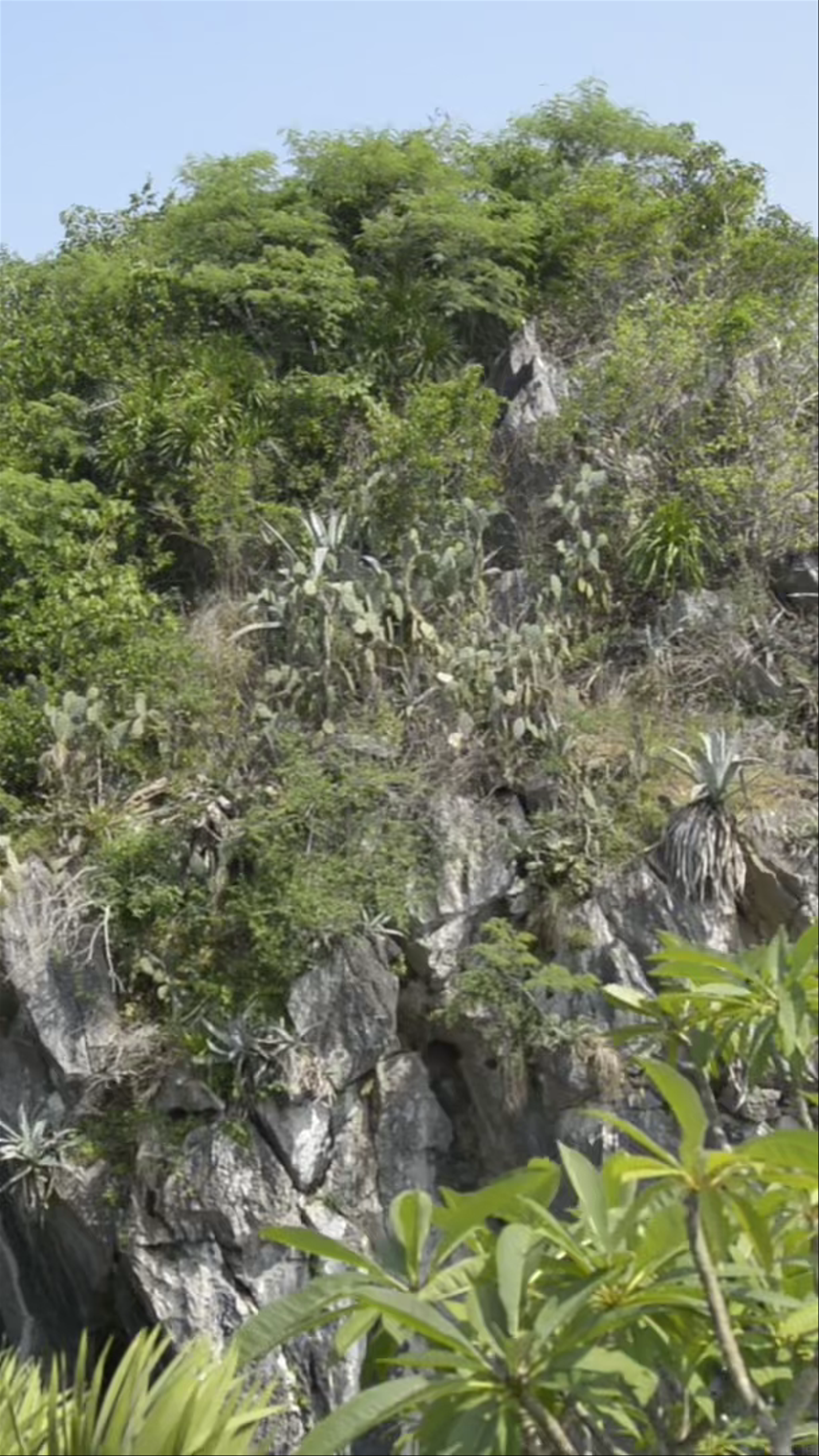 Marble Mountains: Lush Limestone Peaks Overlooking Da Nang