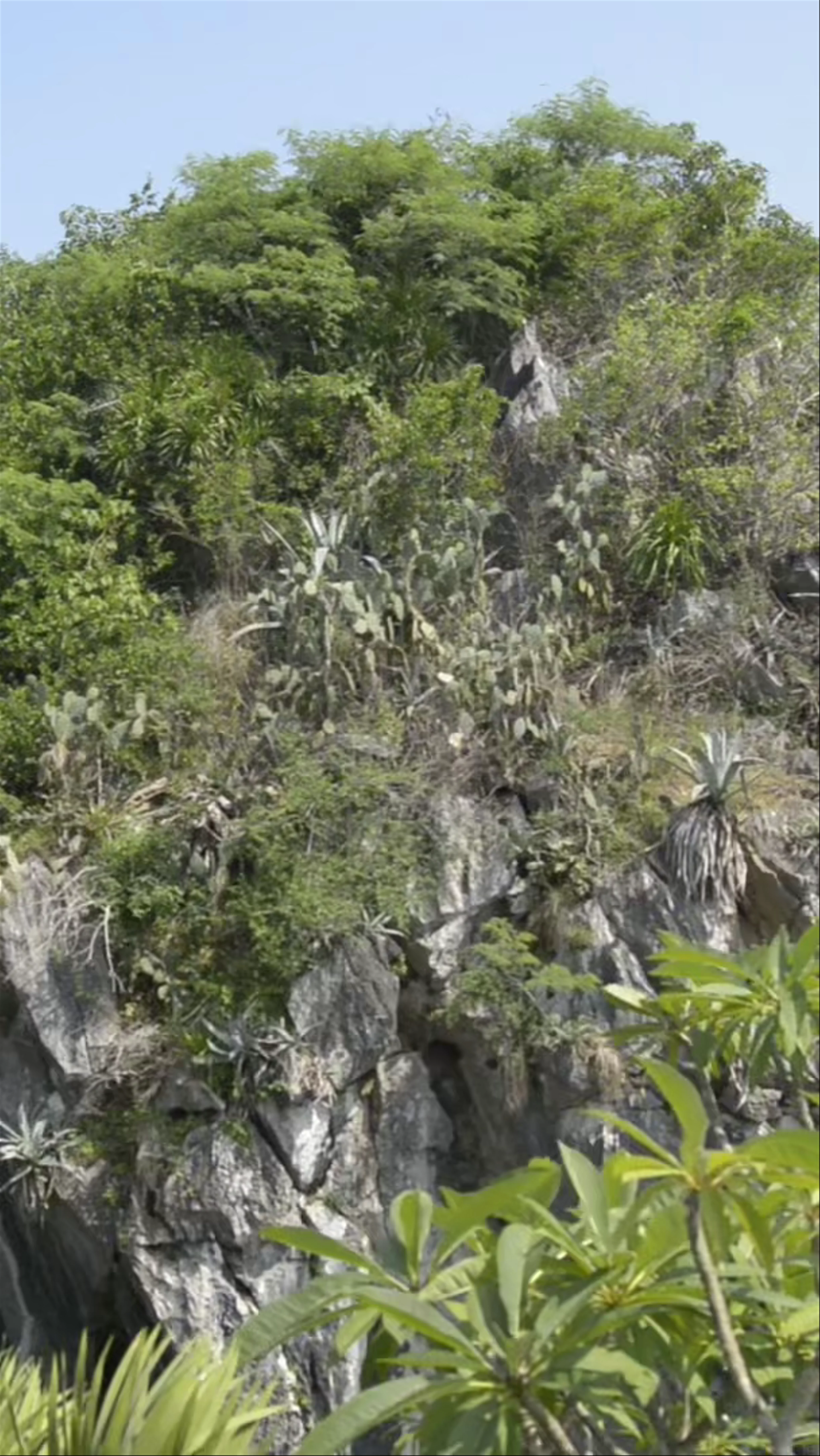 Marble Mountains