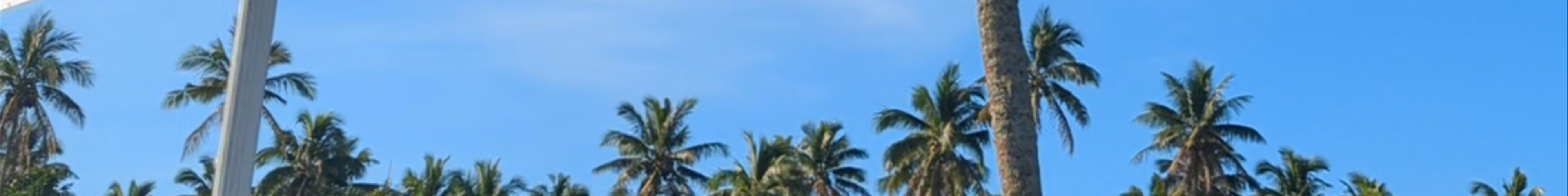 Tours & experiences in Tonga