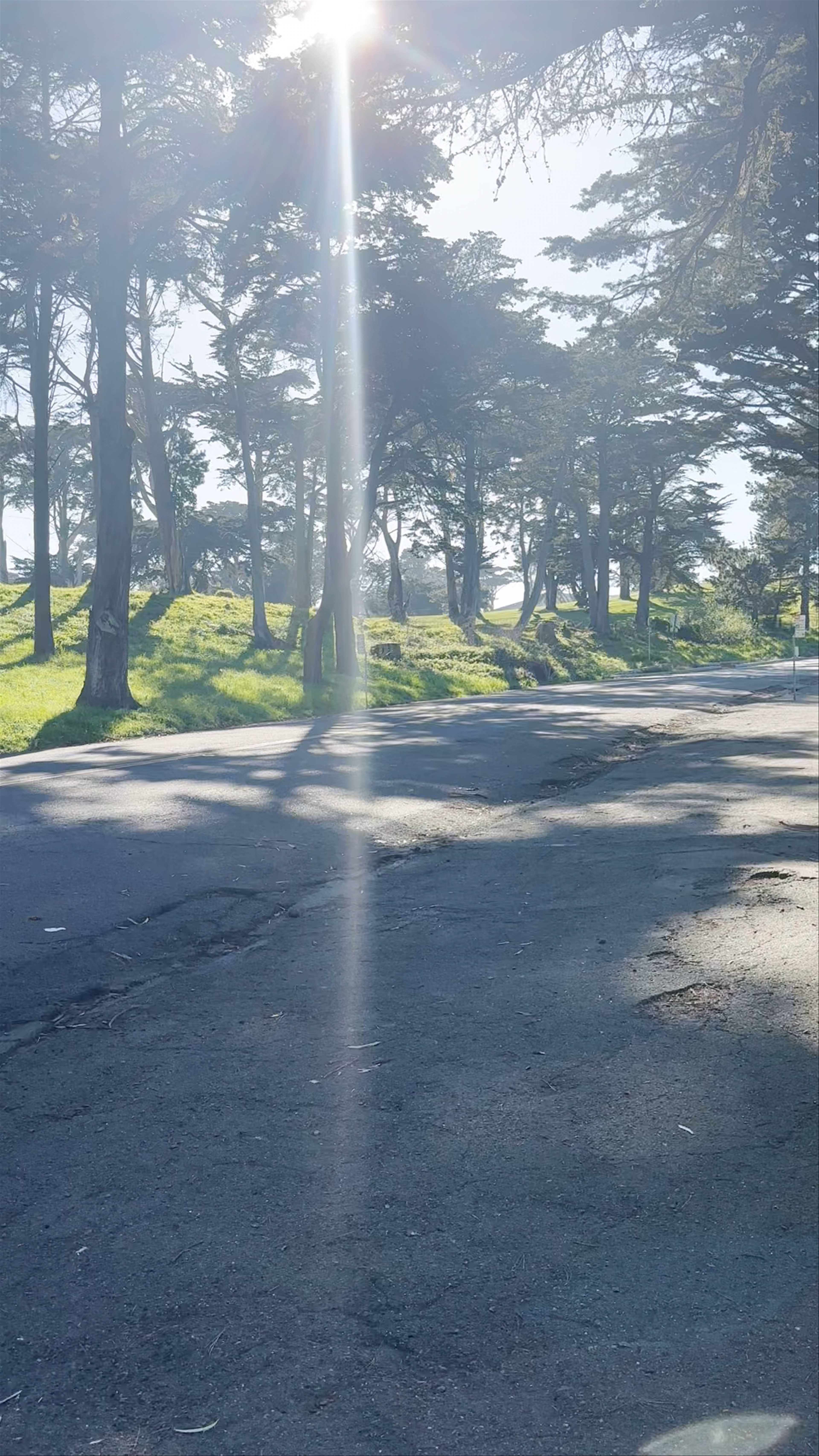 Lincoln Park Cemetery